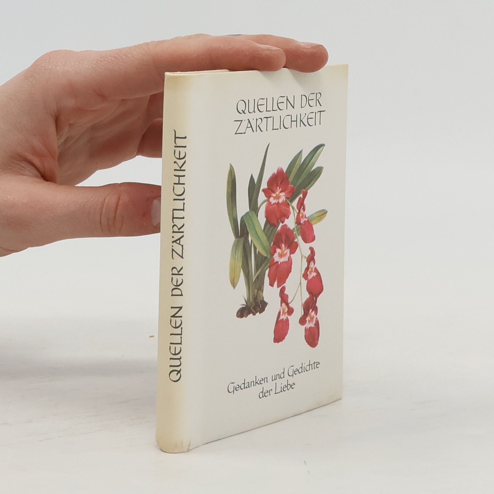 Collectif d'auteurs Quellen der Zärtlichkeit