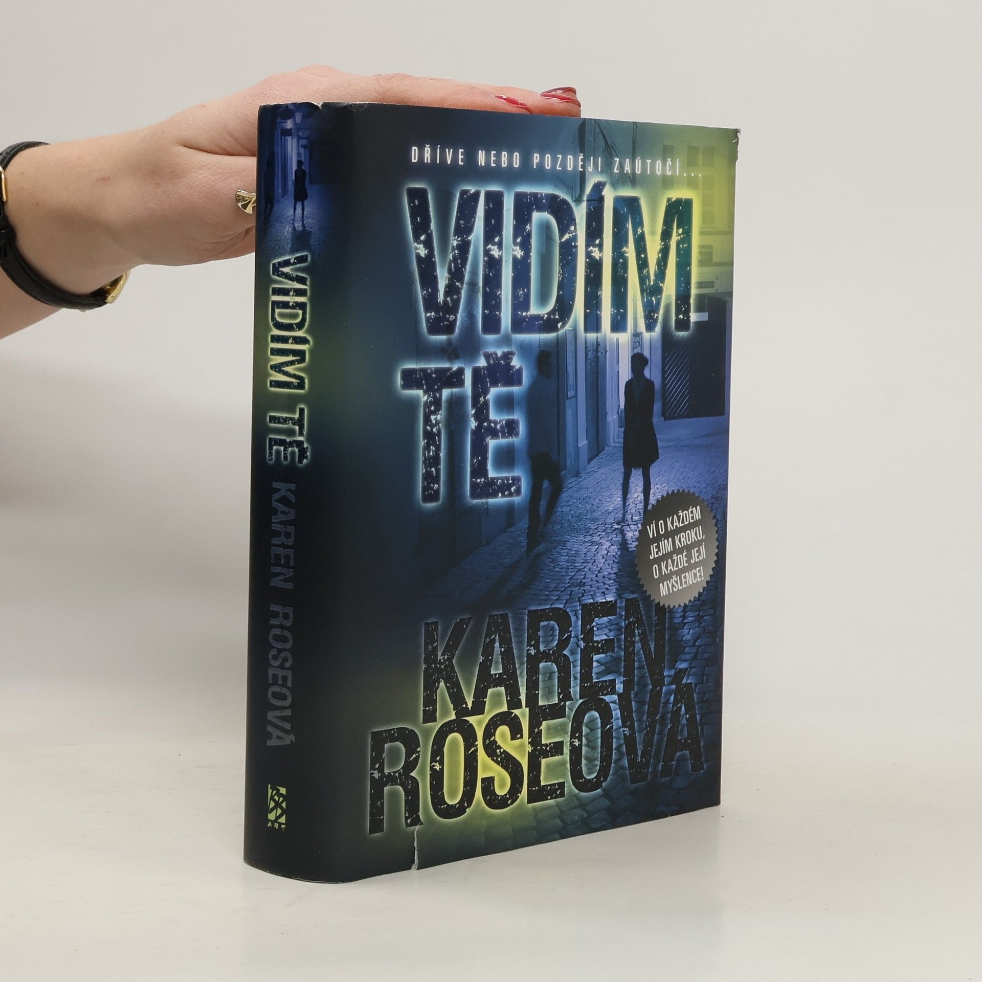 Karen Rose Vidím tě