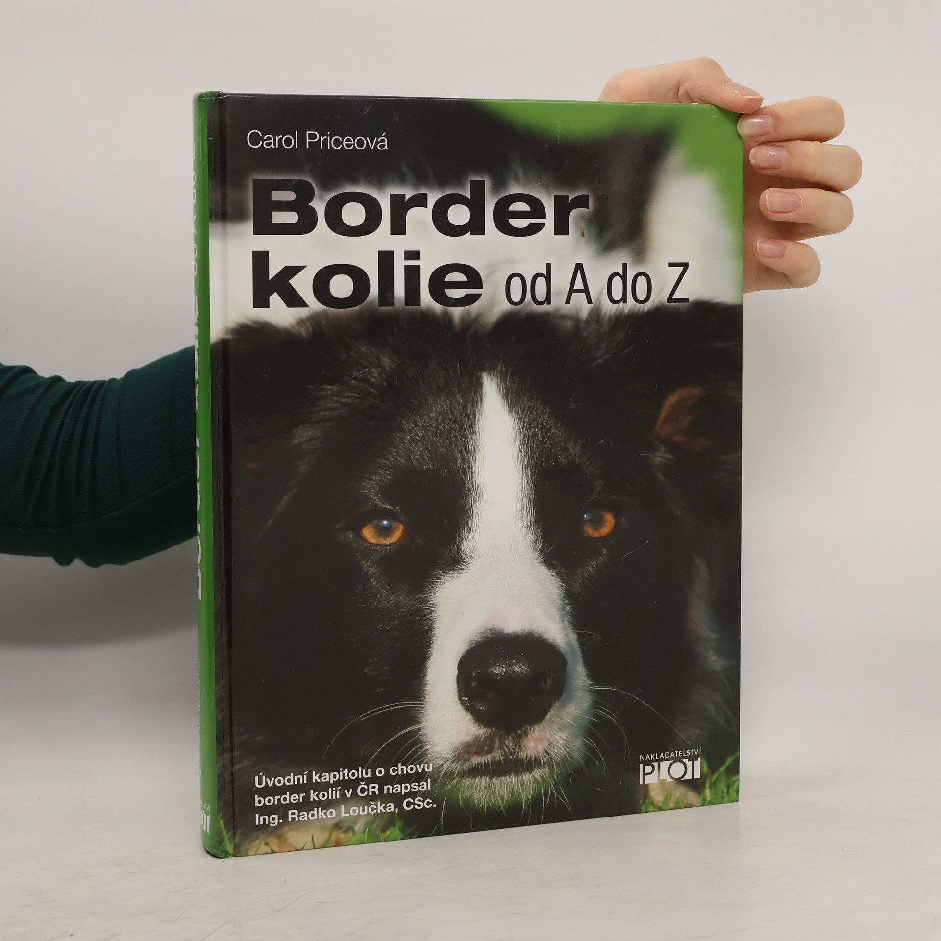 Carol Price Border kolie od A do Z