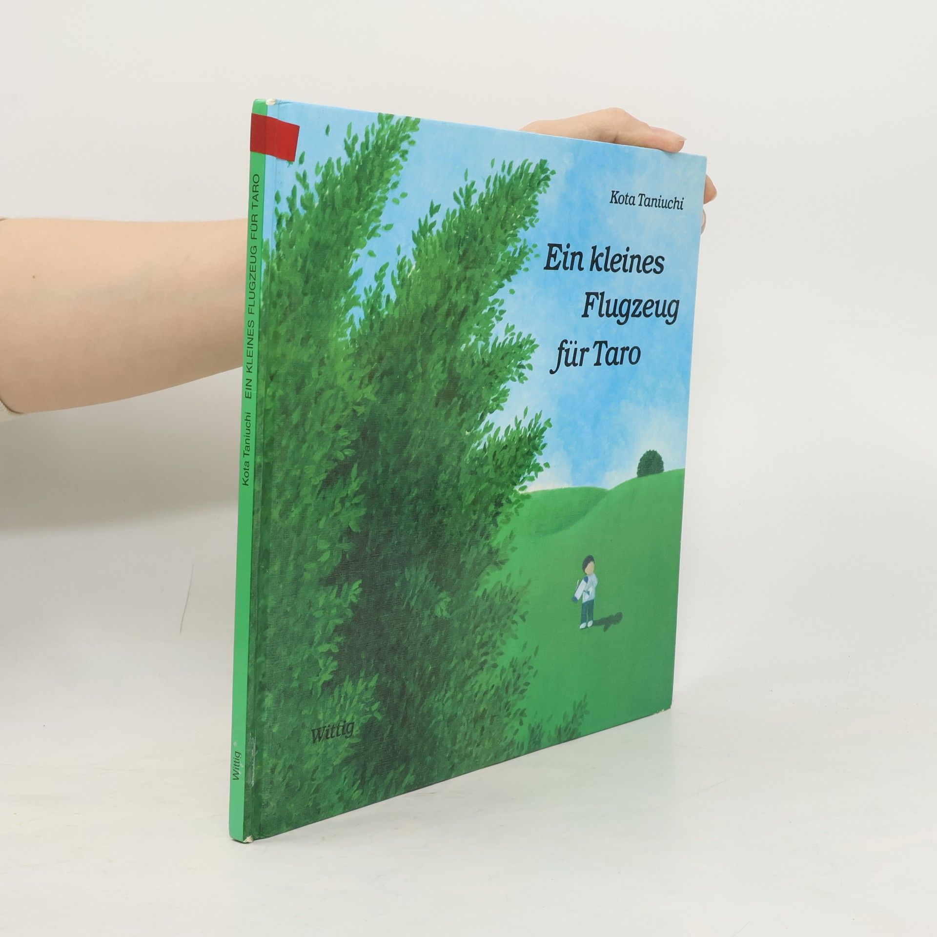 Ein kleines Flugzeug für Taro