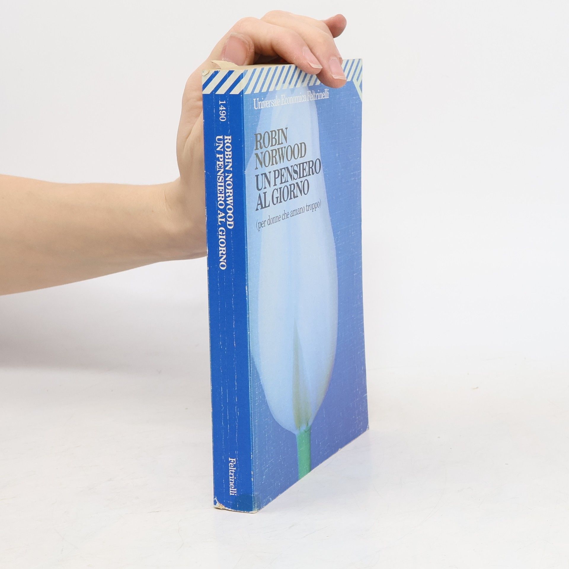 Robin Norwood Un pensiero al giorno