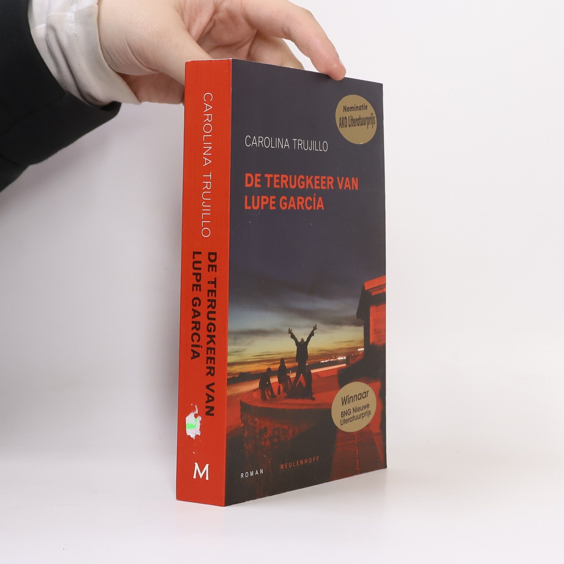 Carolina Trujillo Píriz De terugkeer van Lupe García