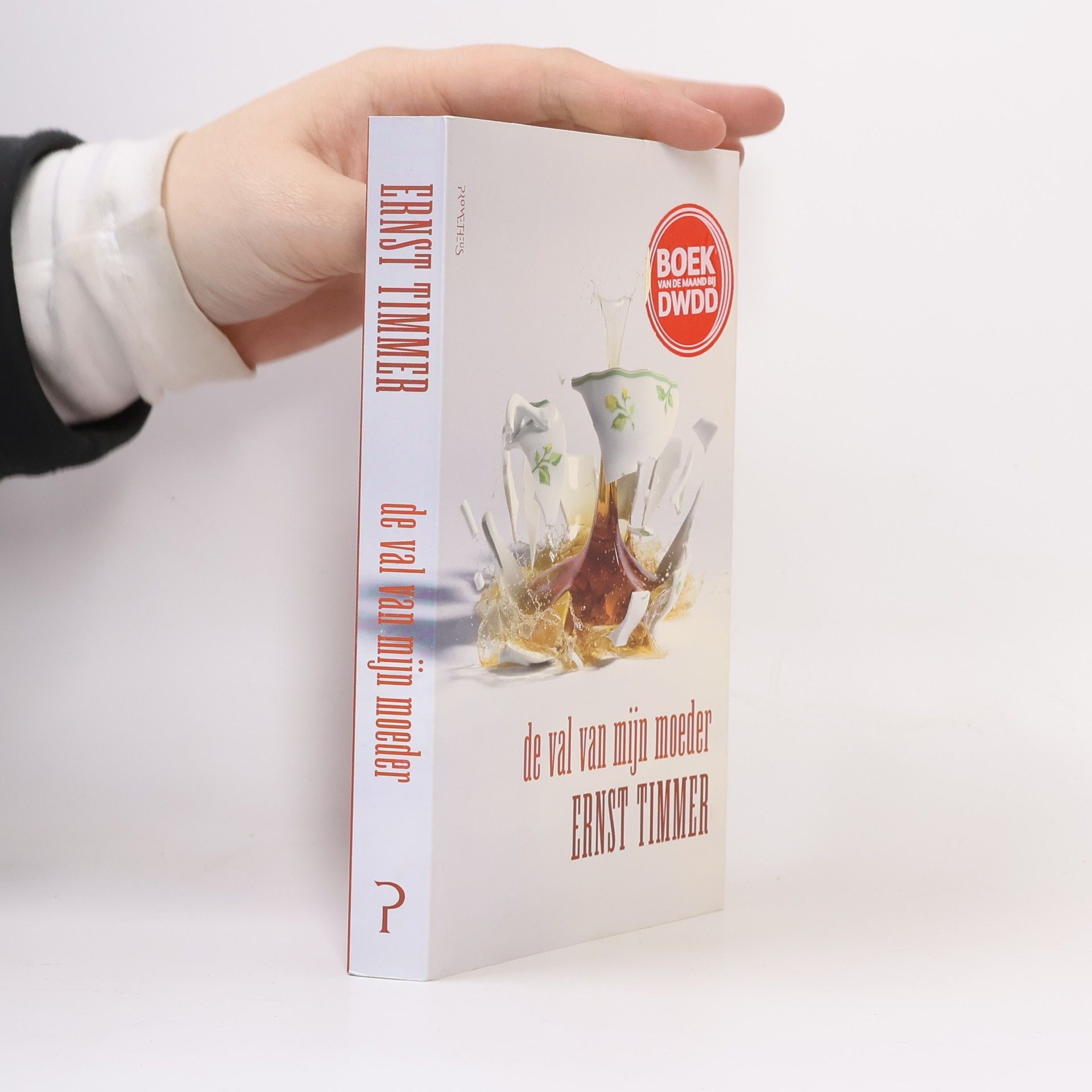 Ernst Timmer De val van mijn moeder / druk 1