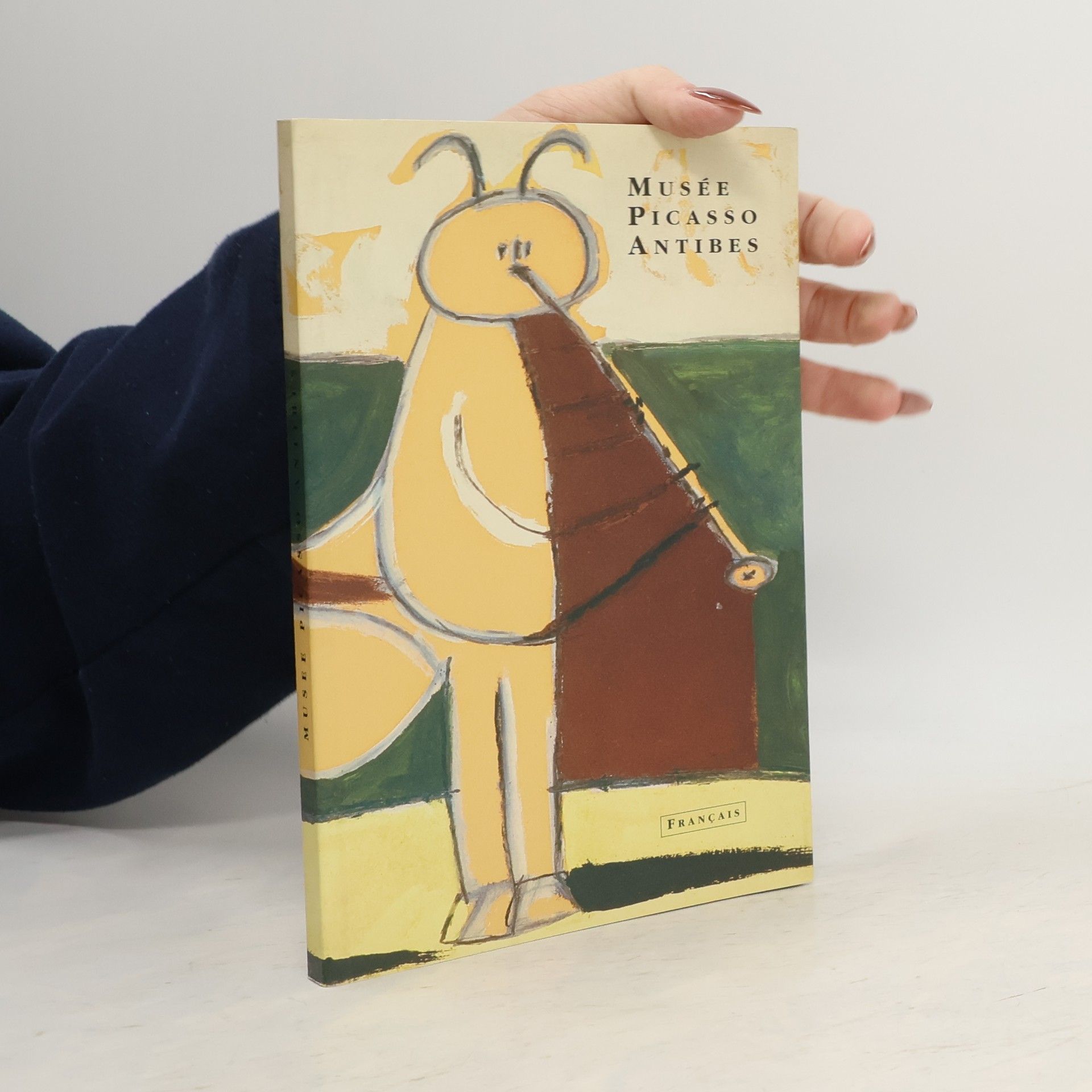 Le Musée Picasso d'Antibes