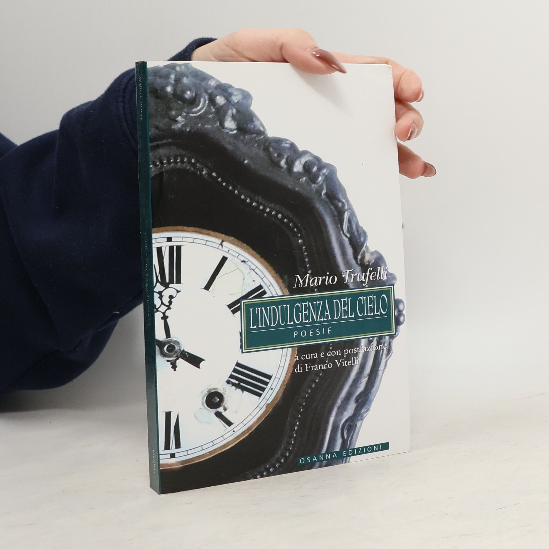 Mario Trufelli L'indulgenza del cielo