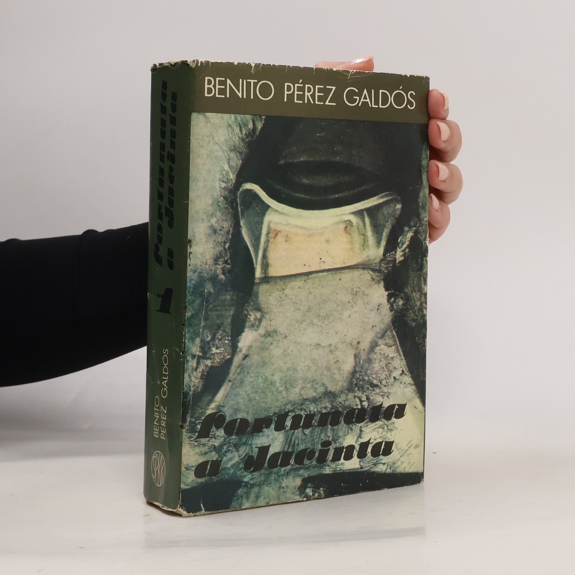 Fortunata a Jacinta 1. zväzok