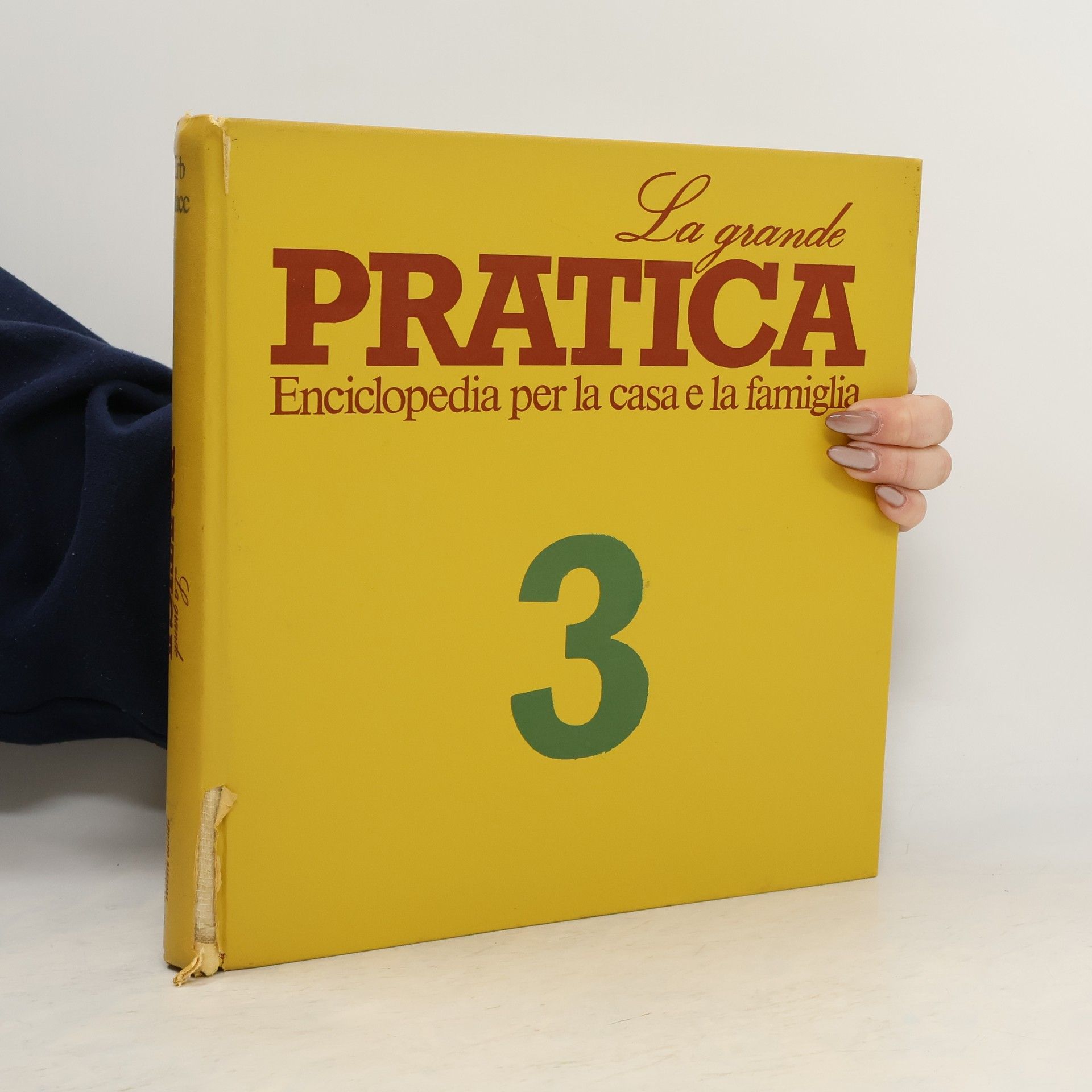 Kolektív autorov La grande pratica 3