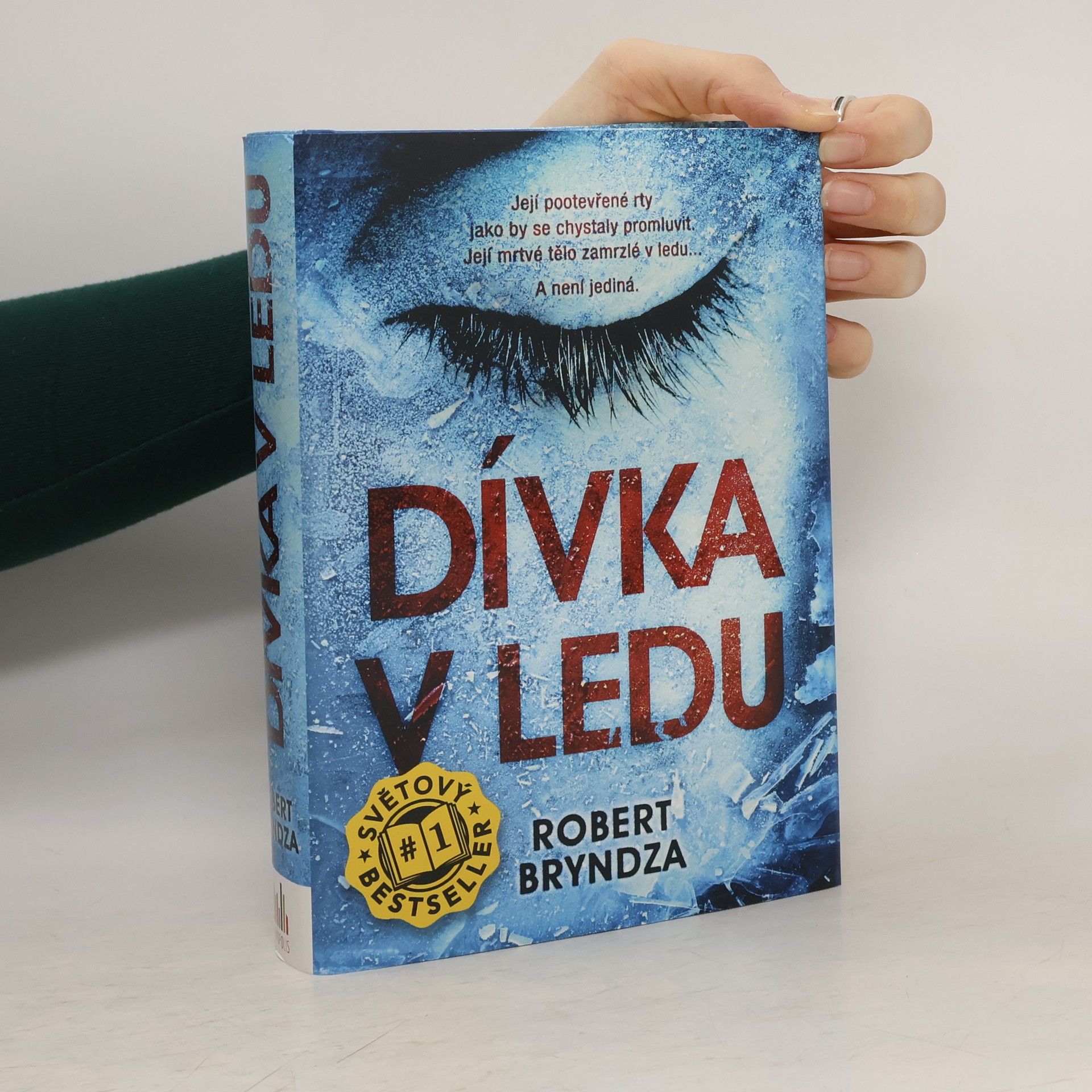 Robert Bryndza Dívka v ledu