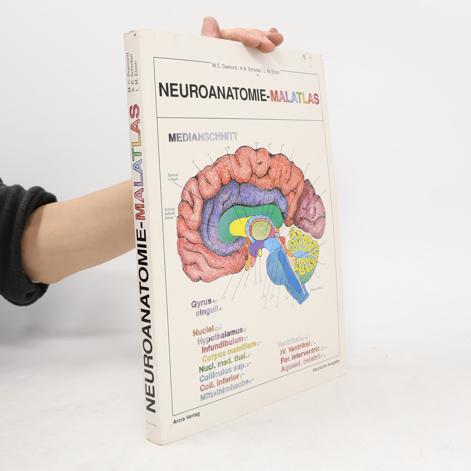 Neuroanatomie-Malatlas