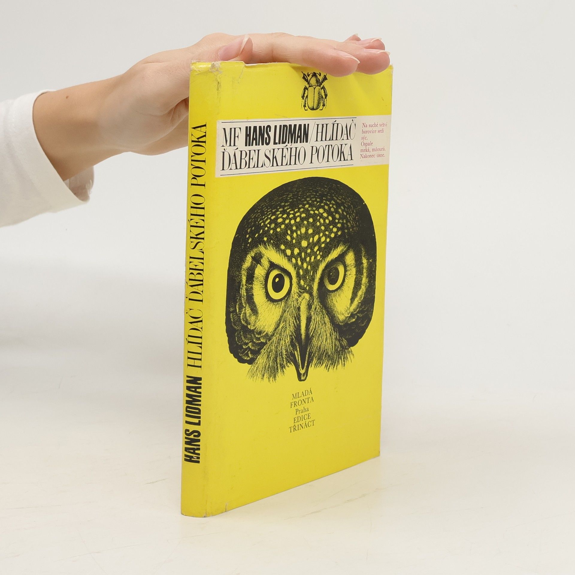 Hans Lidman Hlídač Ďábelského potoka