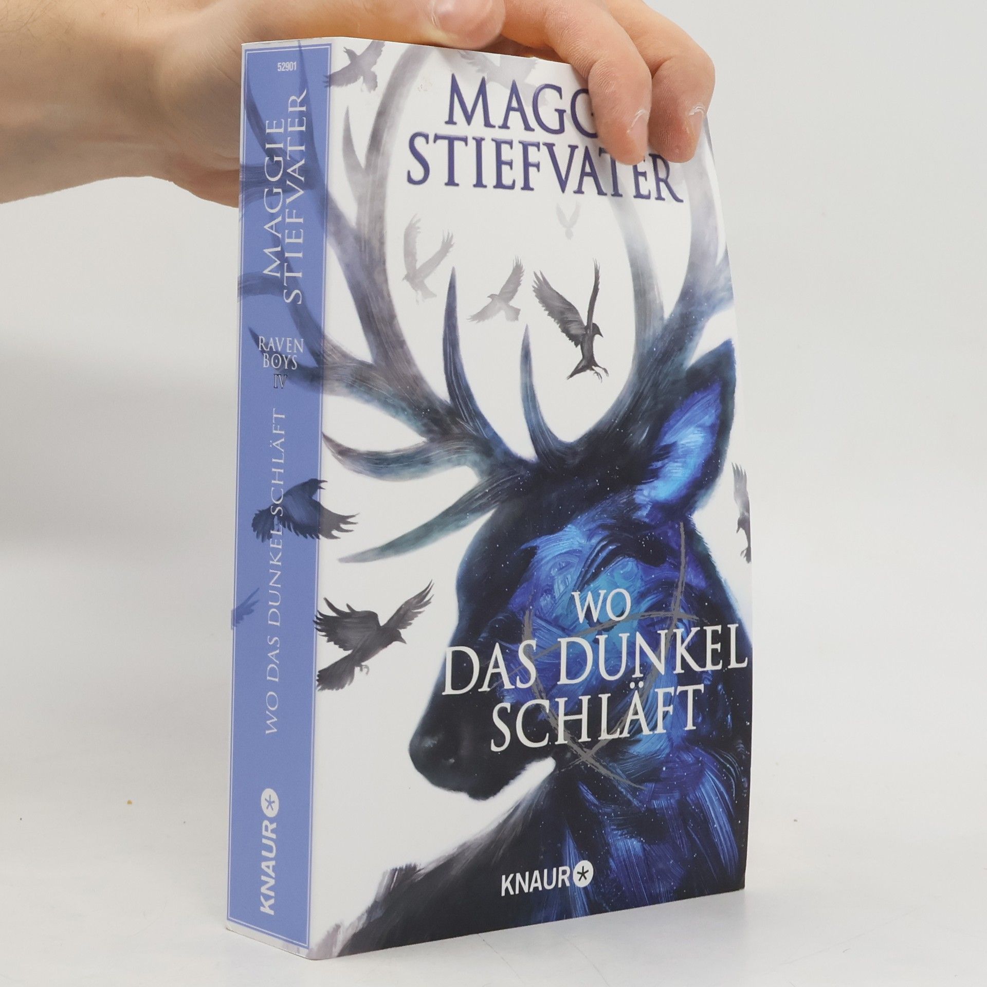 Maggie Stiefvaterová Wo das Dunkel schläft