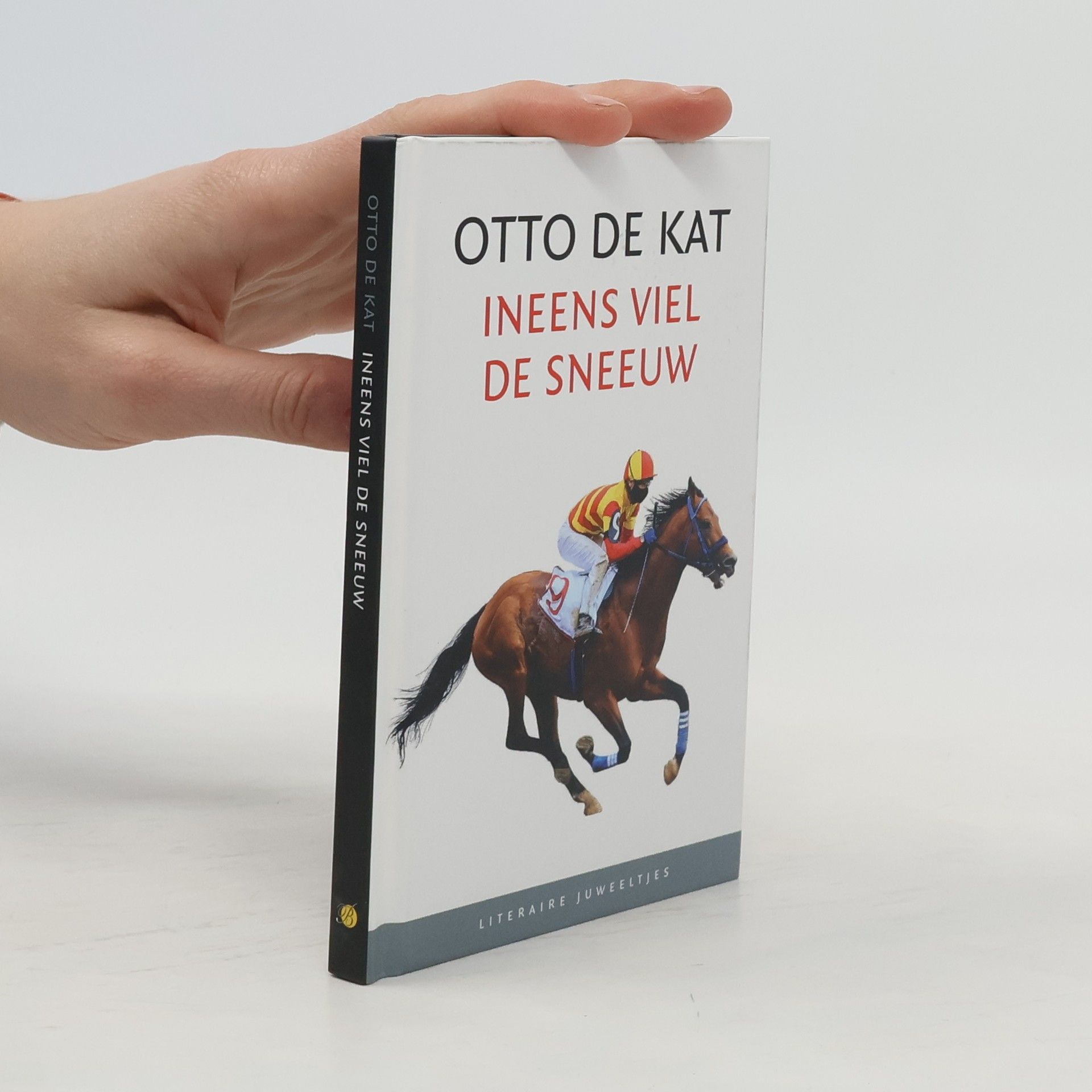 Ineens viel de sneeuw