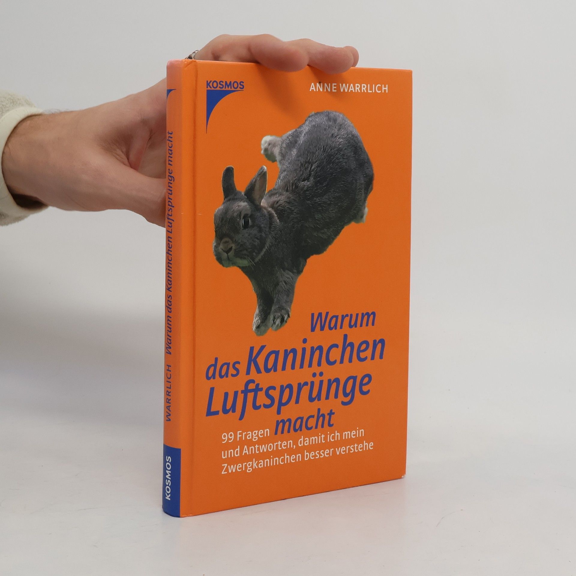 Warum das Kaninchen Luftsprünge macht