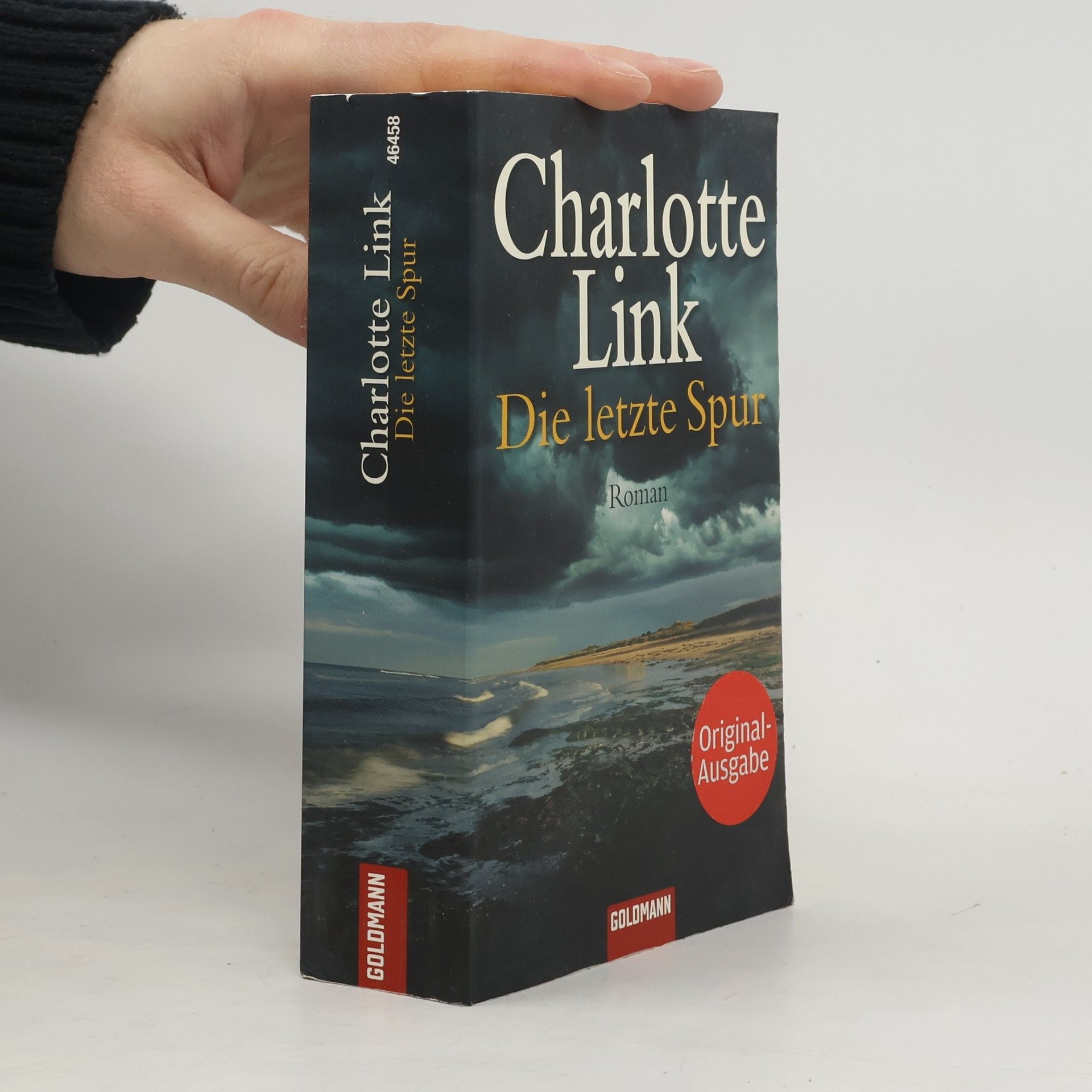 Charlotte Link Die letzte Spur