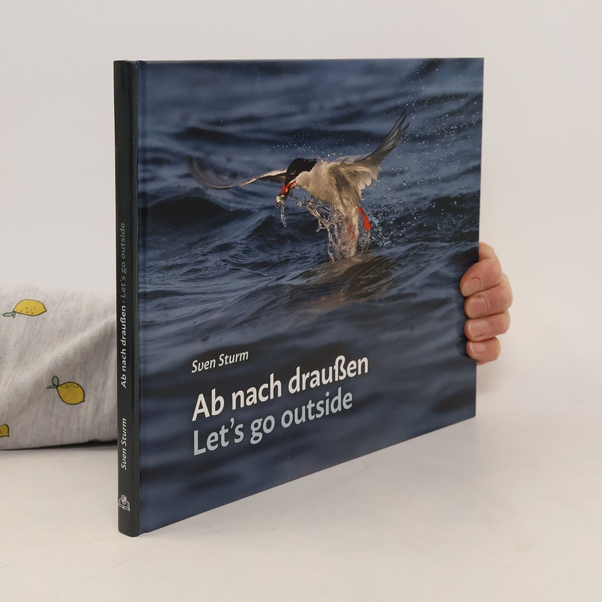 Sven Sturm Ab nach draußen