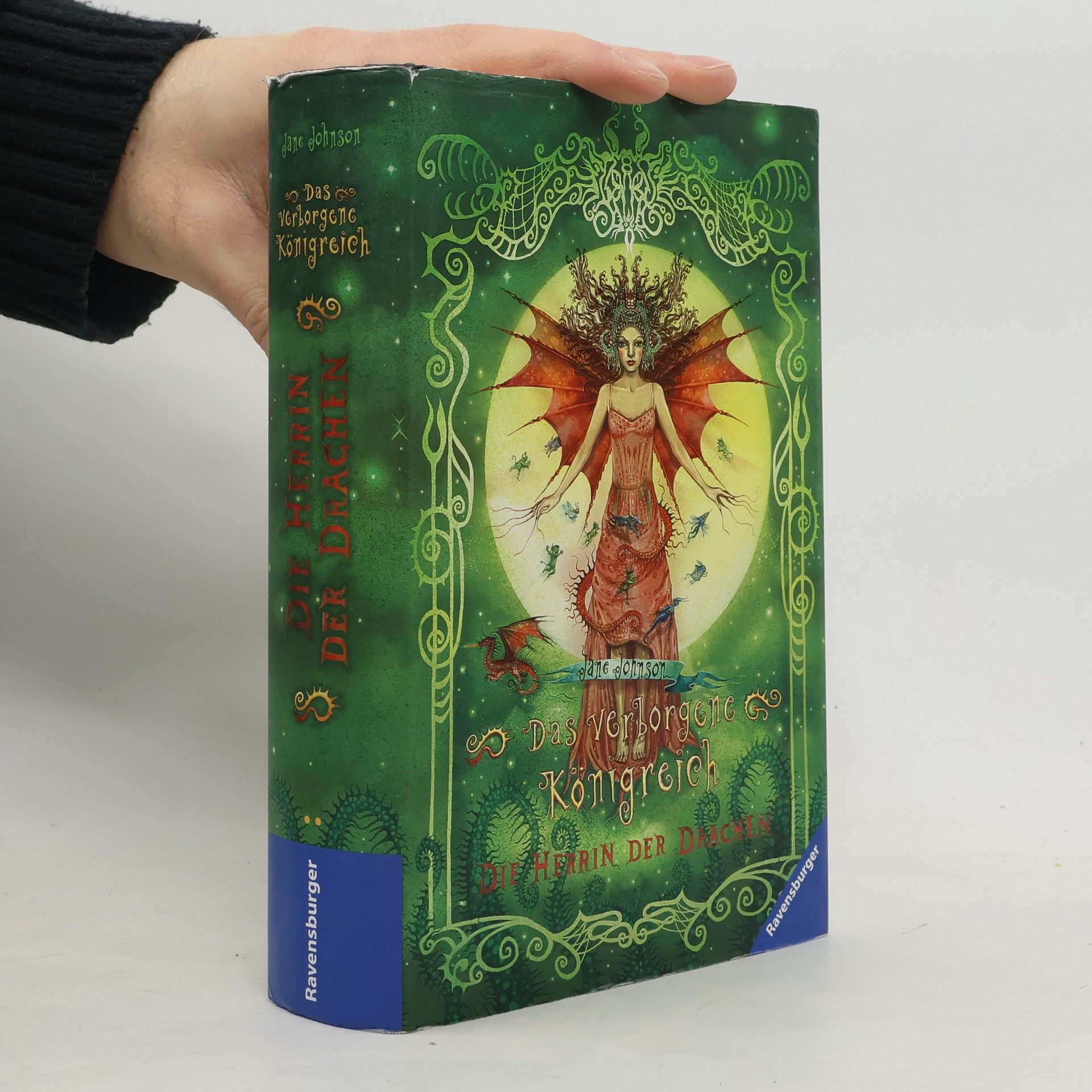 Das verborgene Königreich 3: Die Herrin der Drachen