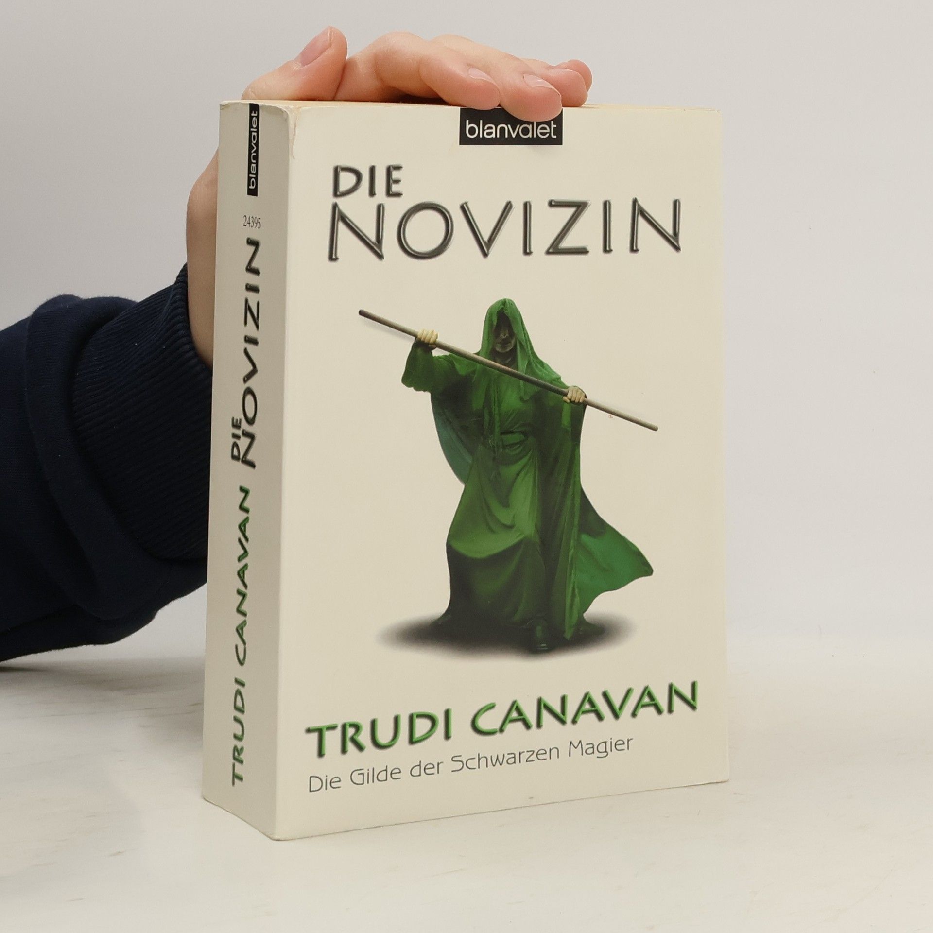 Trudi Canavan Die Novizin