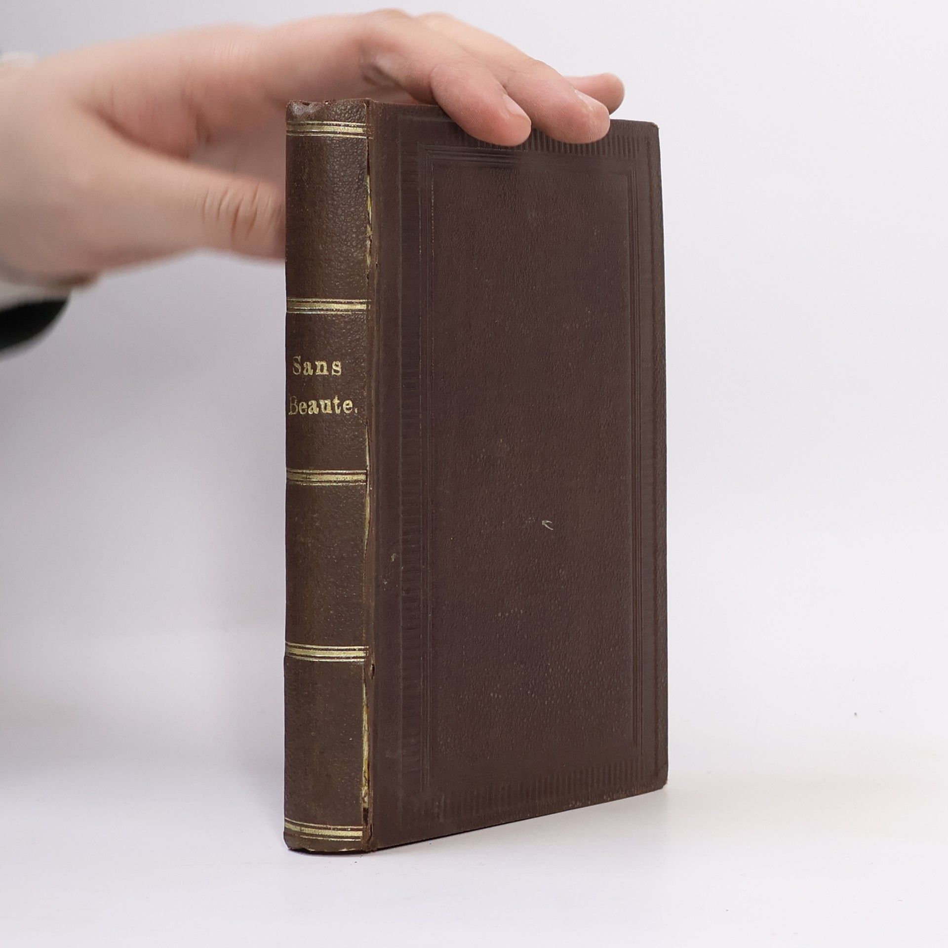 Zénaïde Fleuriot Sans Beauté