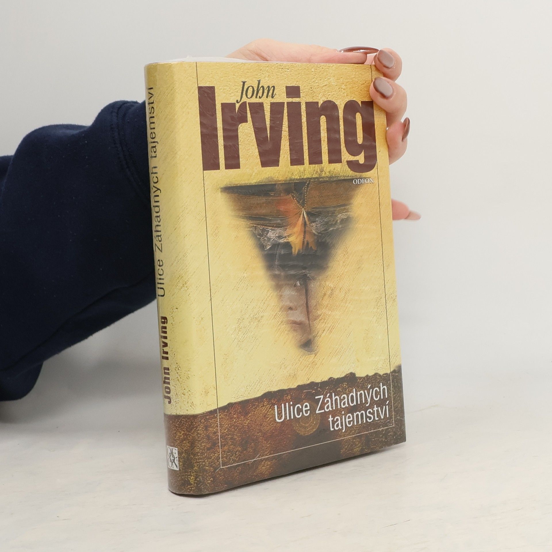 John Irving Ulice Záhadných tajemství