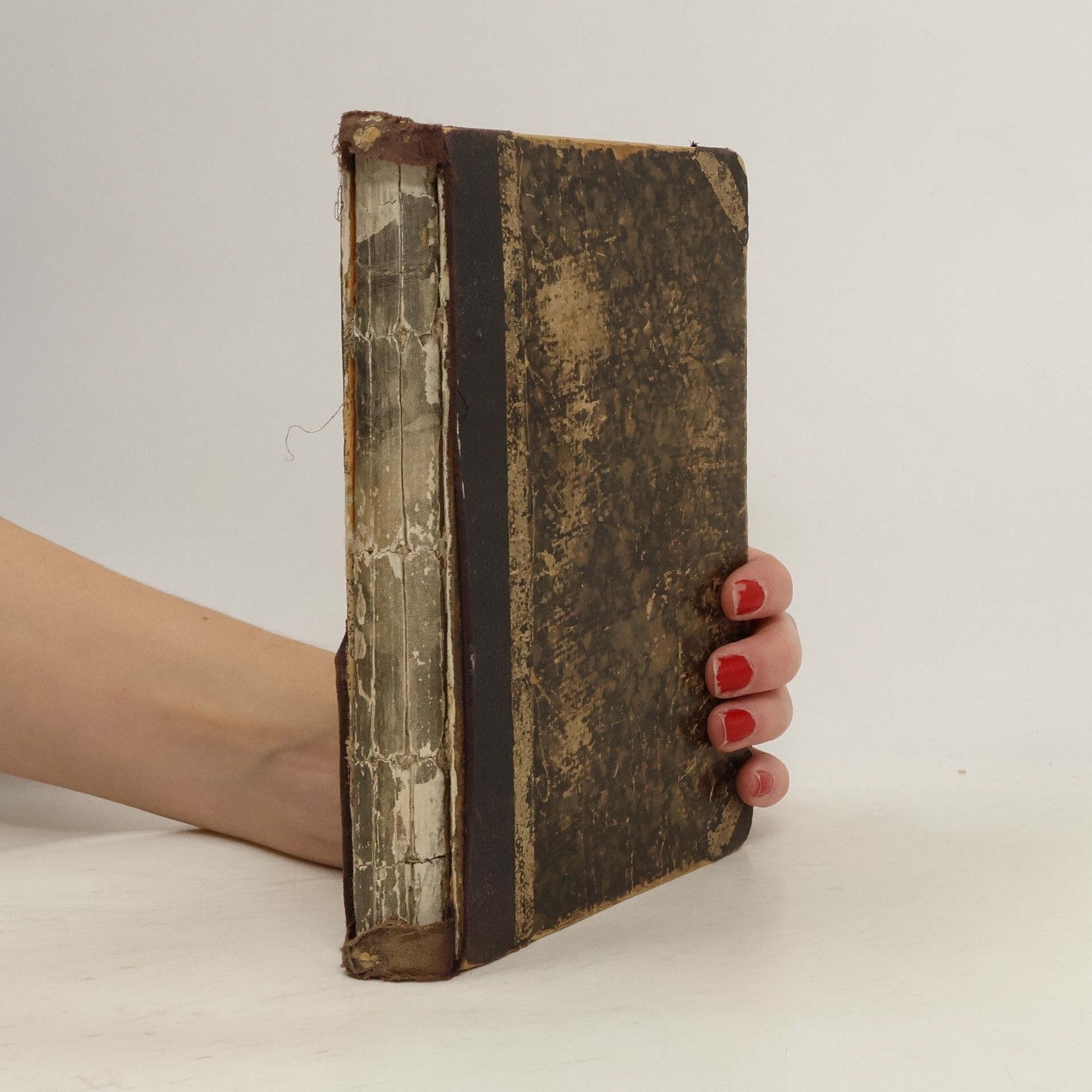 Auteurscollectief Tvarosloví. Díl prvý