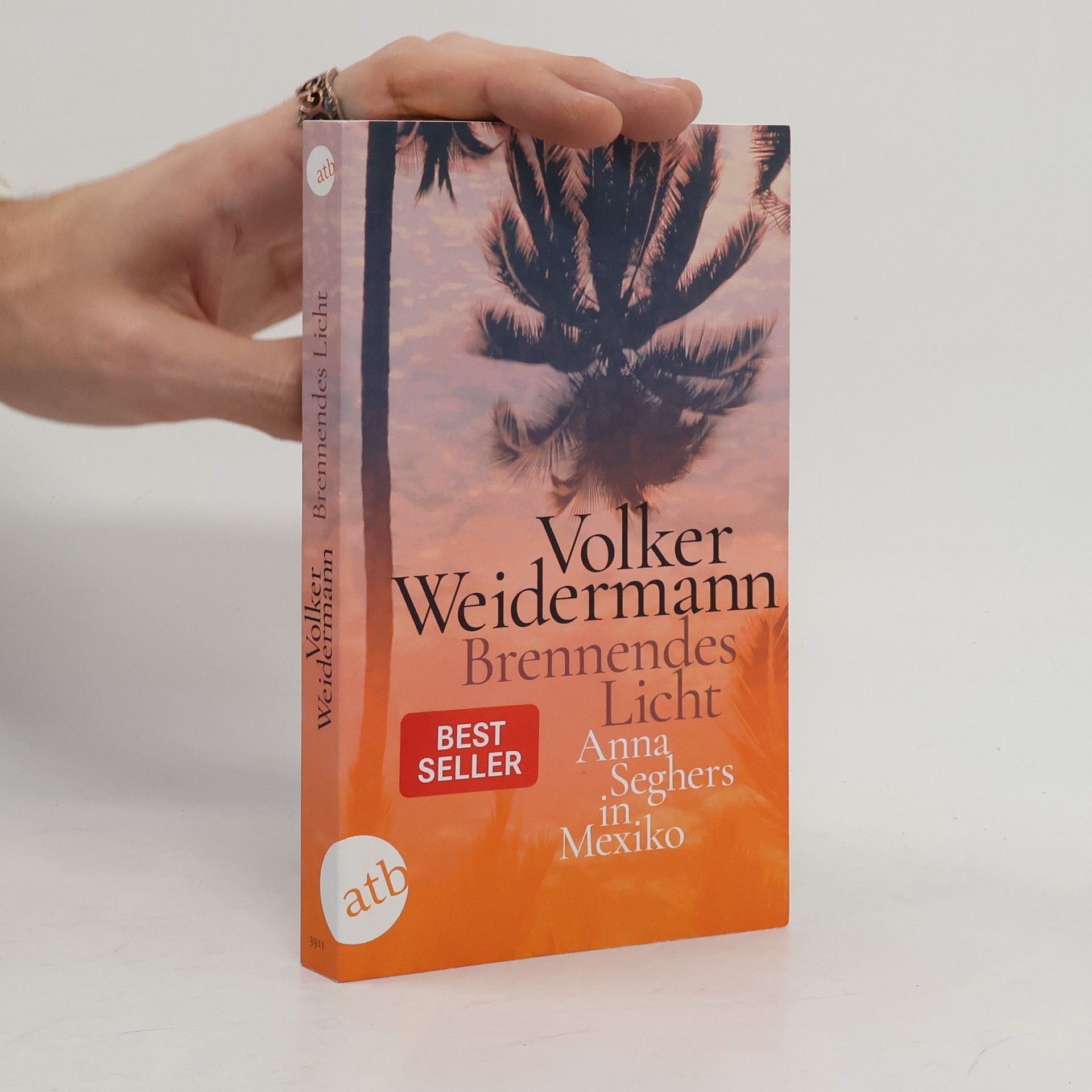 Volker Weidermann Brennendes Licht