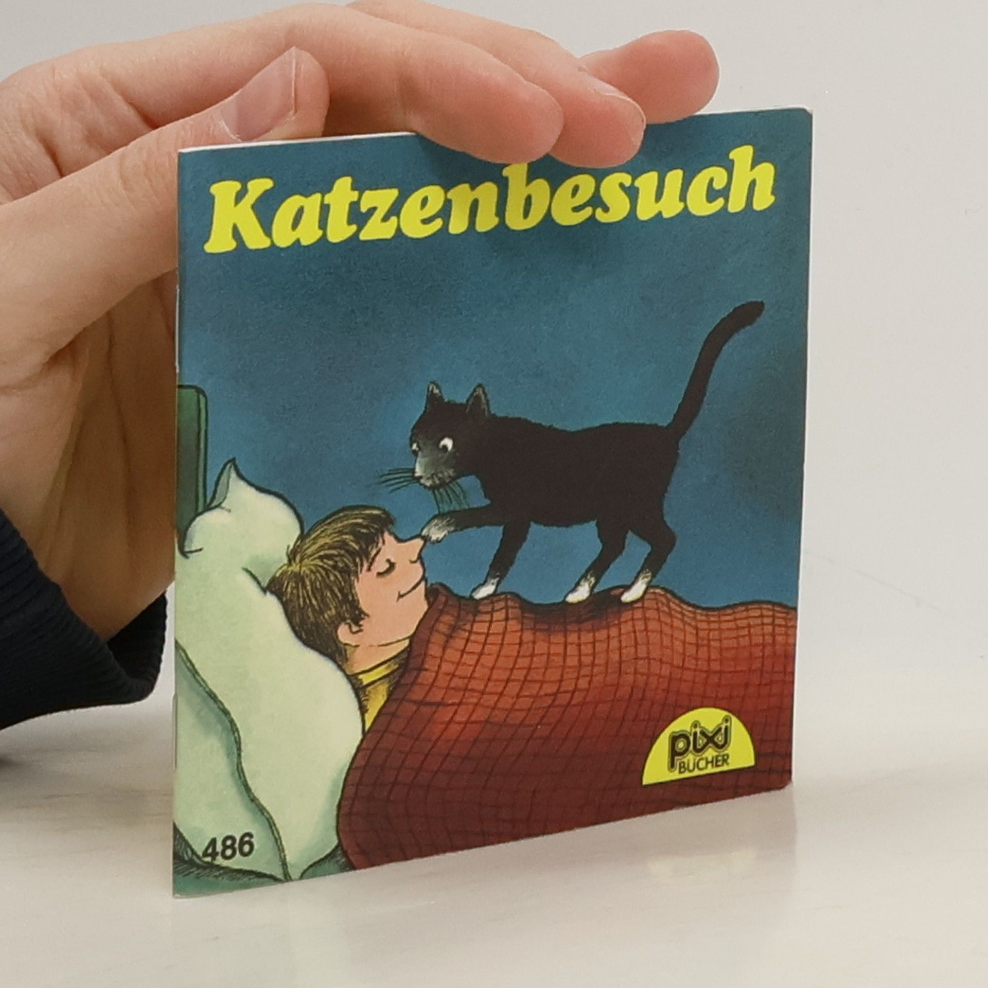 Kolektív autorov Kapitän Sternhagel auf Schatzsuche