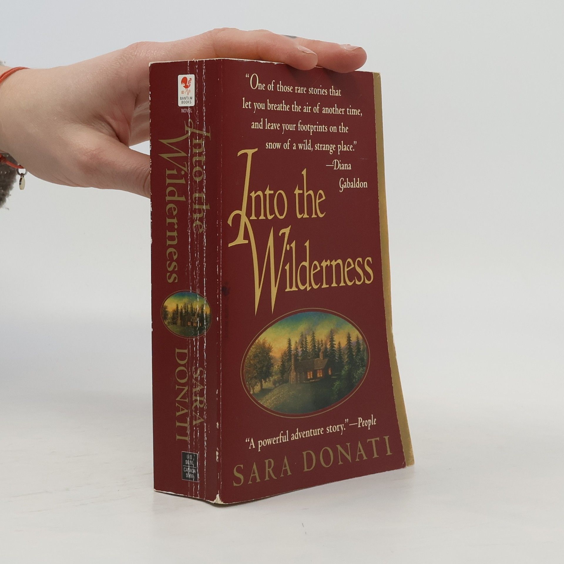 Sara Donati Into the Wilderness