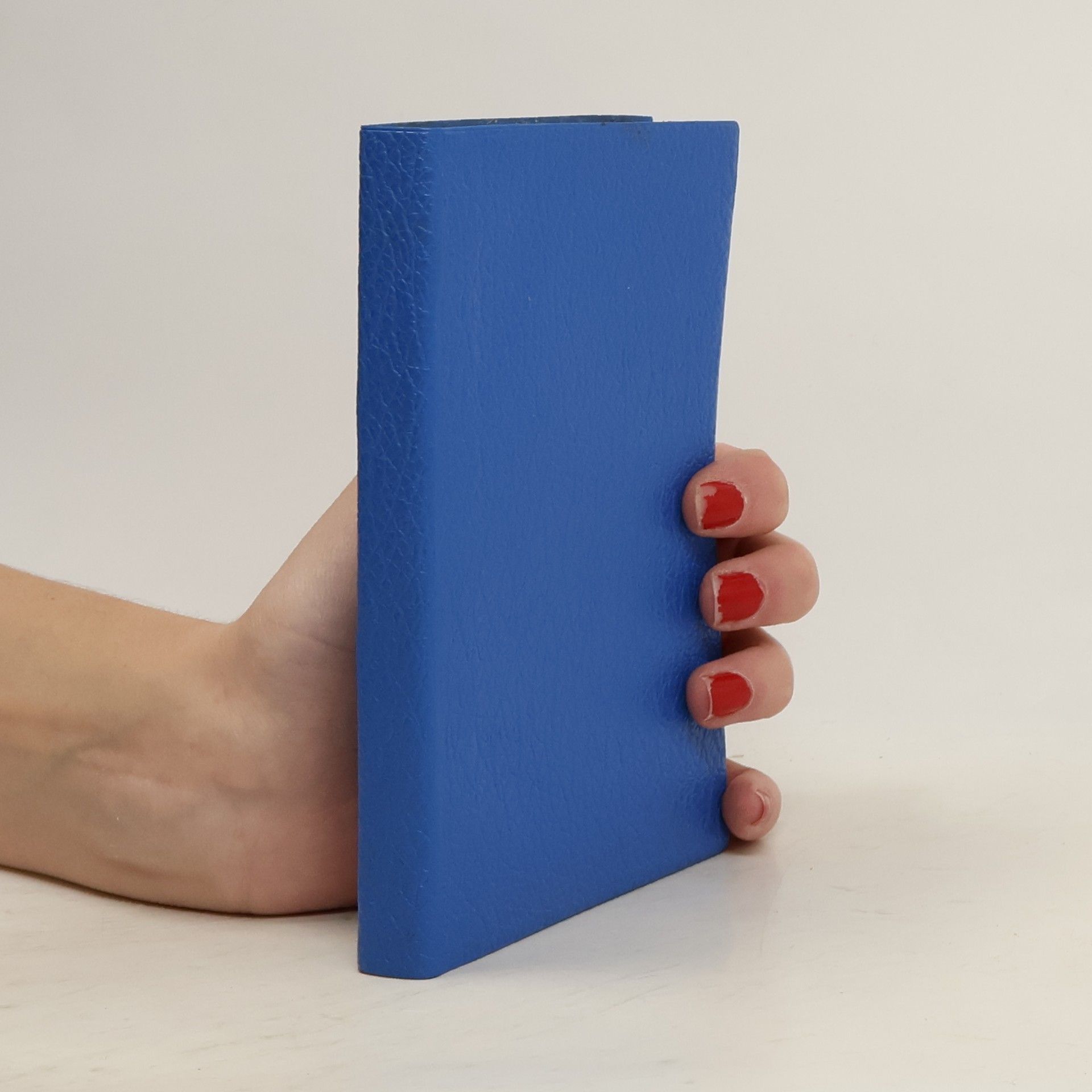 Collectif d'auteurs Nový zákon našeho Pána a Spasitele Ježíše Krista