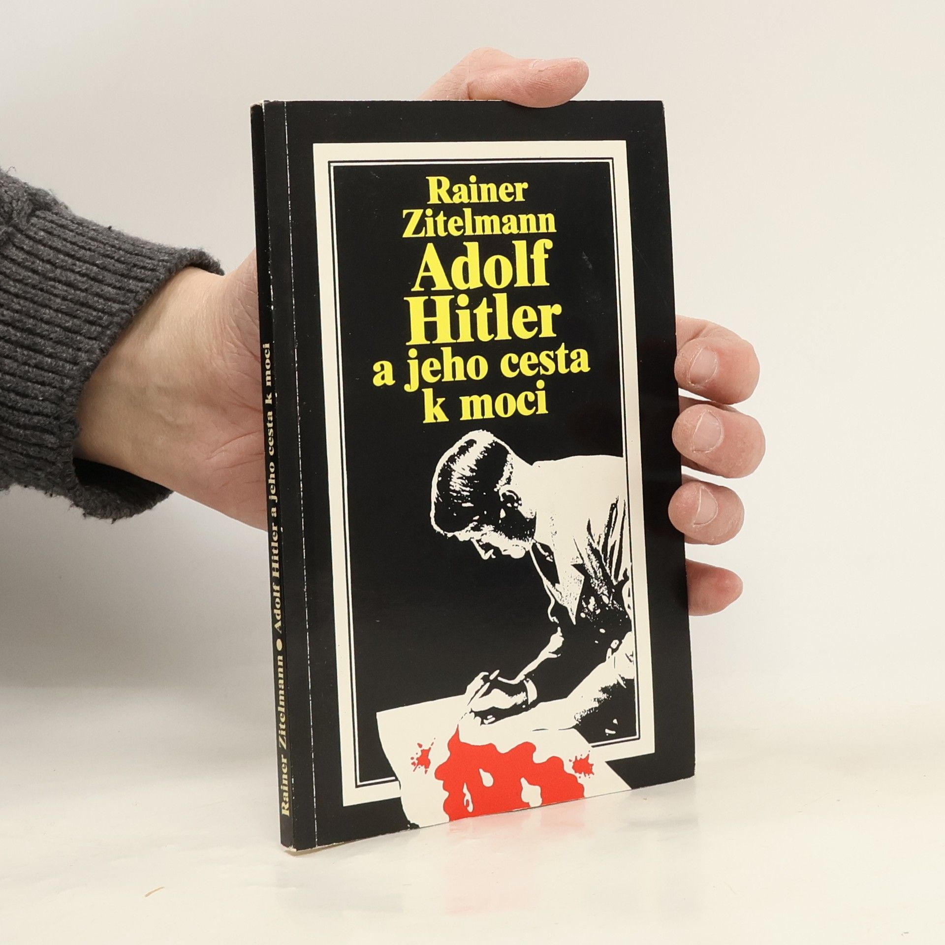 Adolf Hitler a jeho cesta k moci