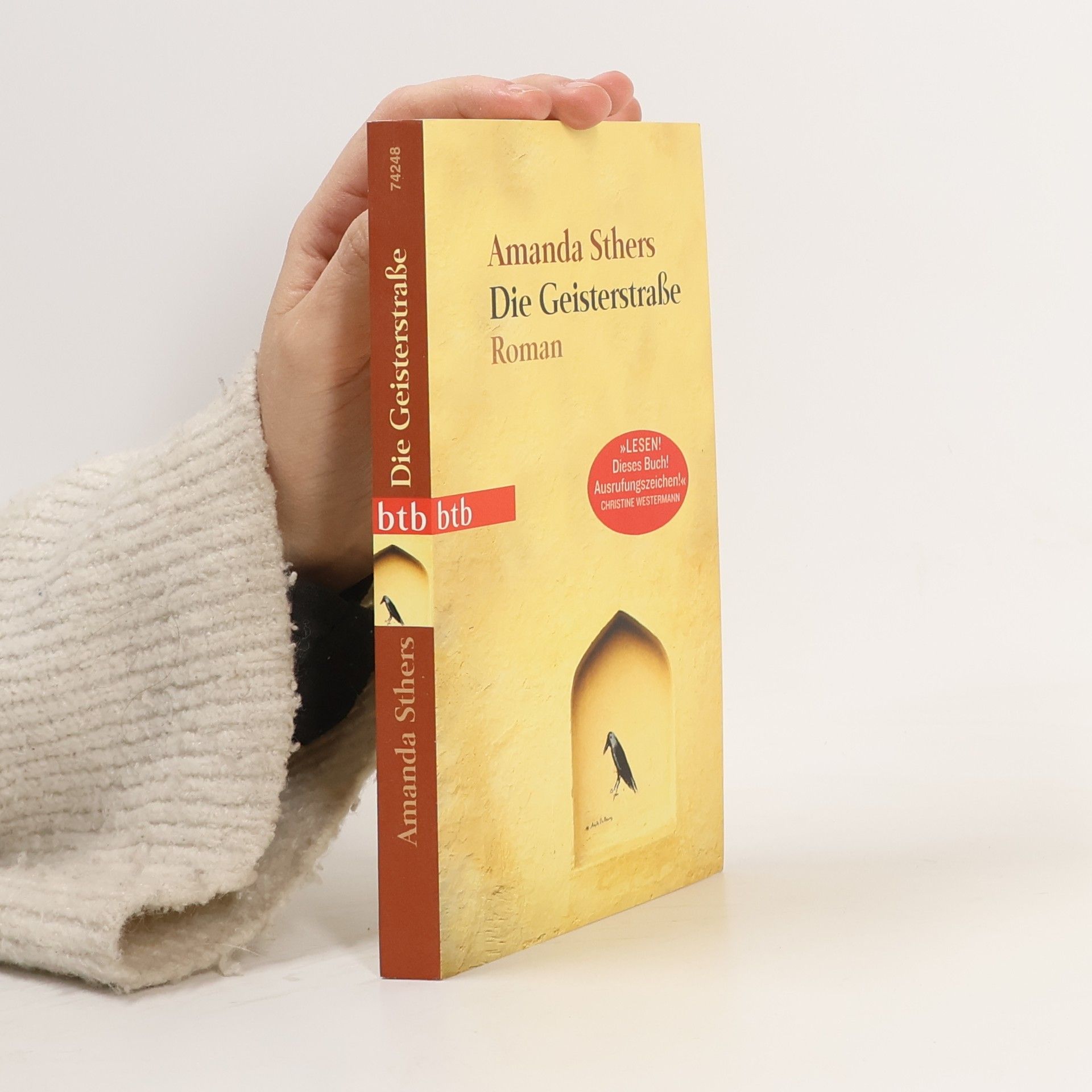 Die Geisterstraße. Roman