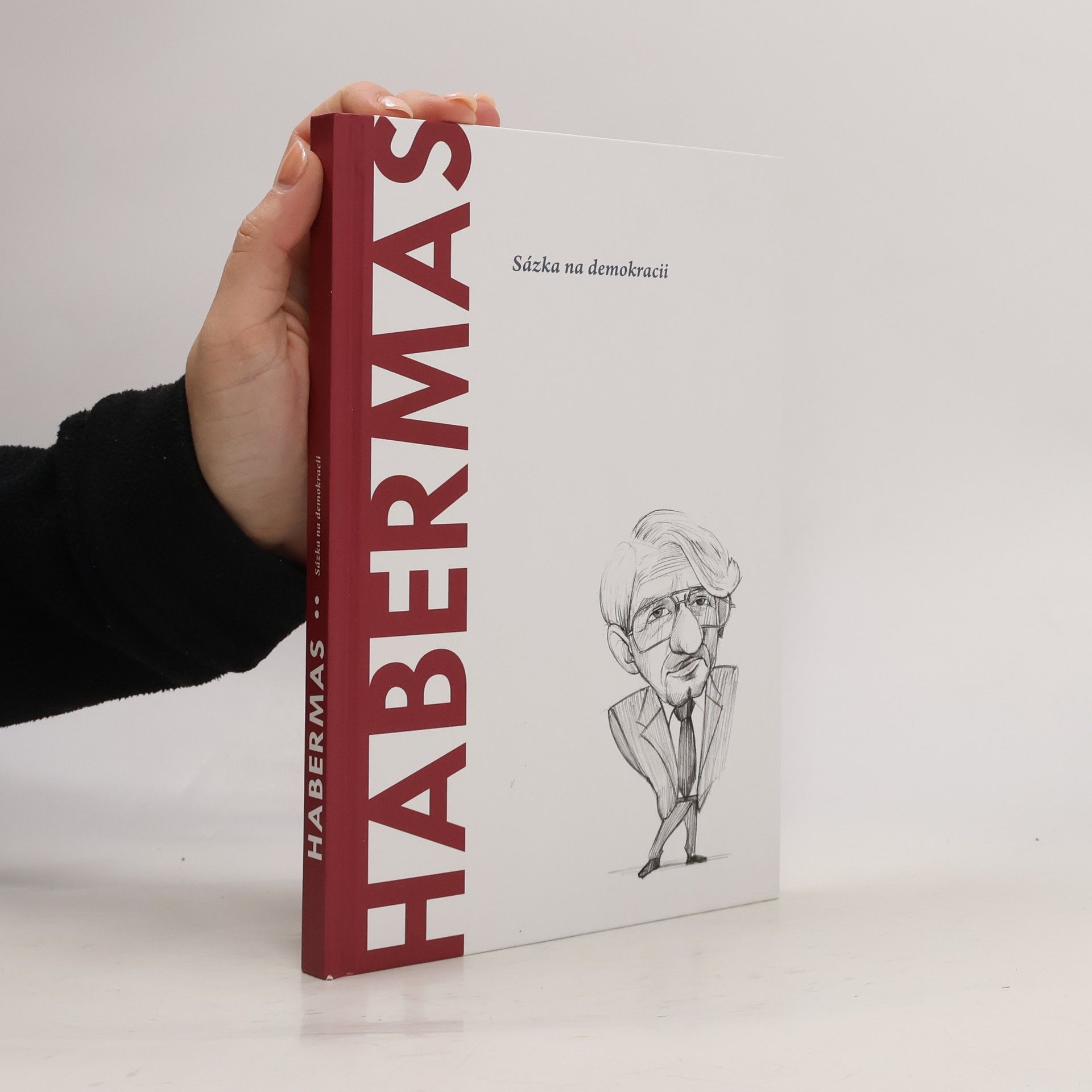 Auteurscollectief Habermas. Sázka na demokracii