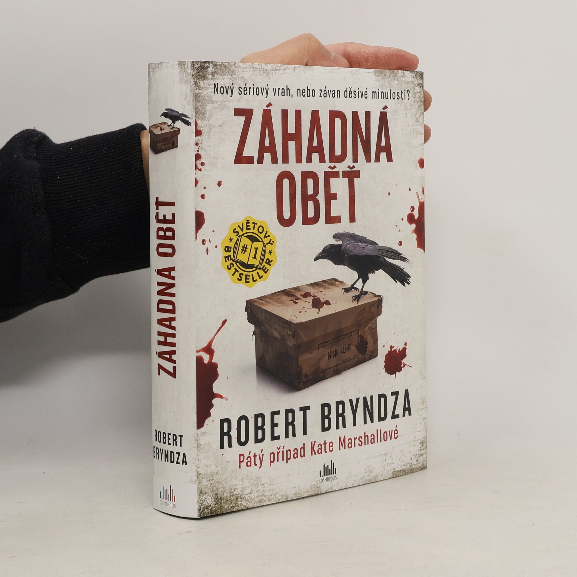 Robert Bryndza Záhadná oběť