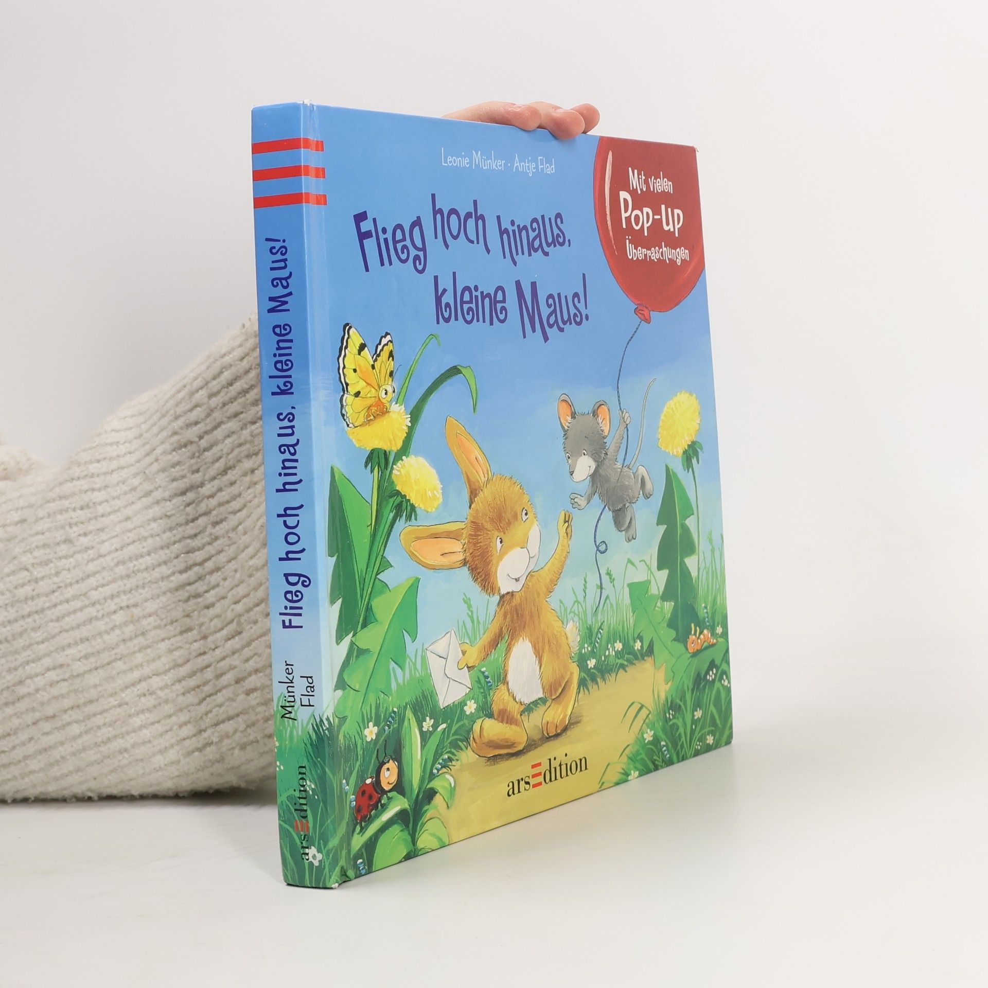 Leonie Münker Flieg hoch hinaus, kleine Maus!