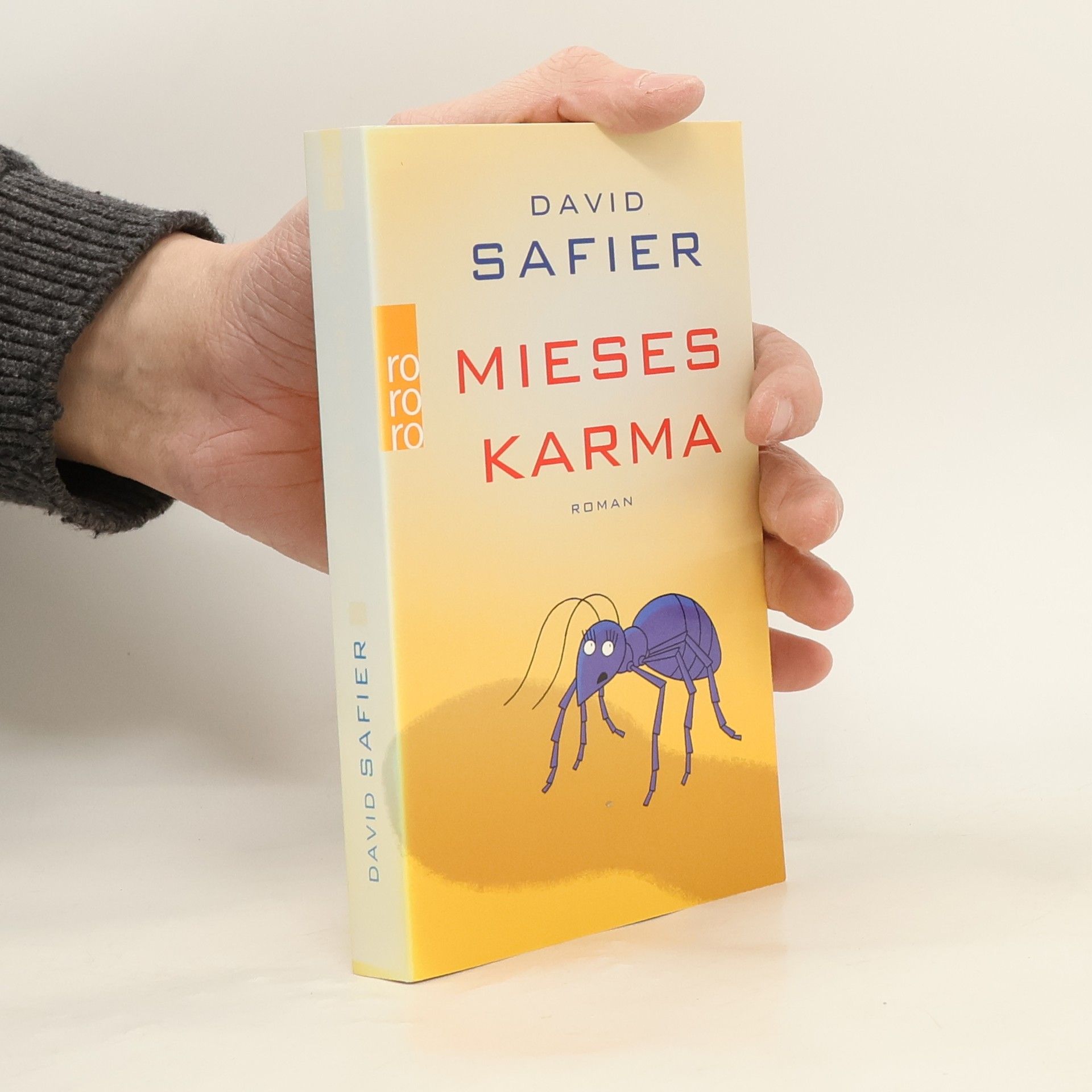 David Safier Mieses Karma