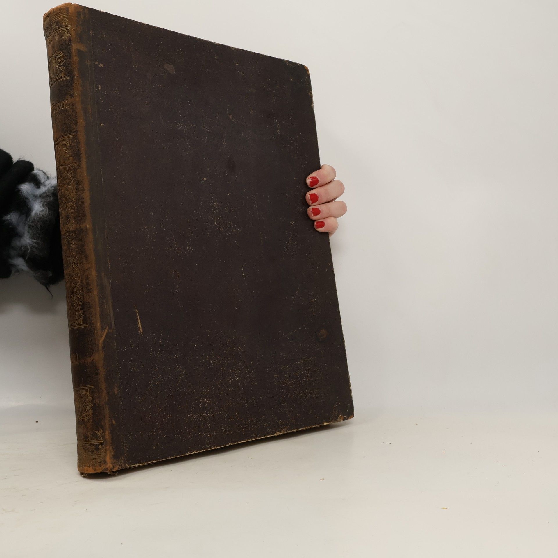 Autores varios Světozor. Ročník XXIV.