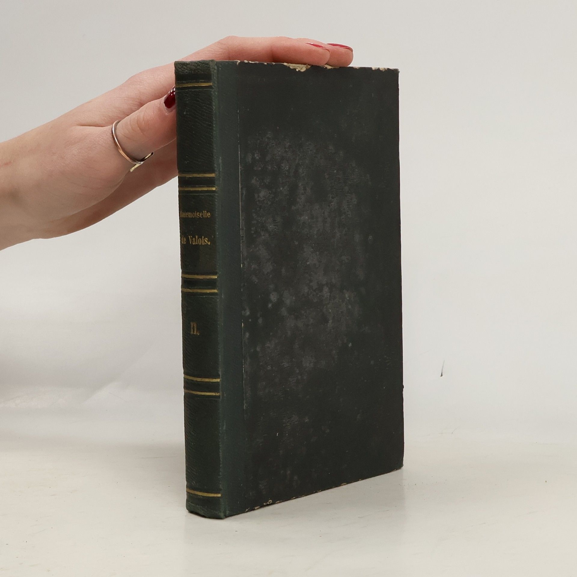 Mademoiselle de Valois ou Le fils du Masque de fer II