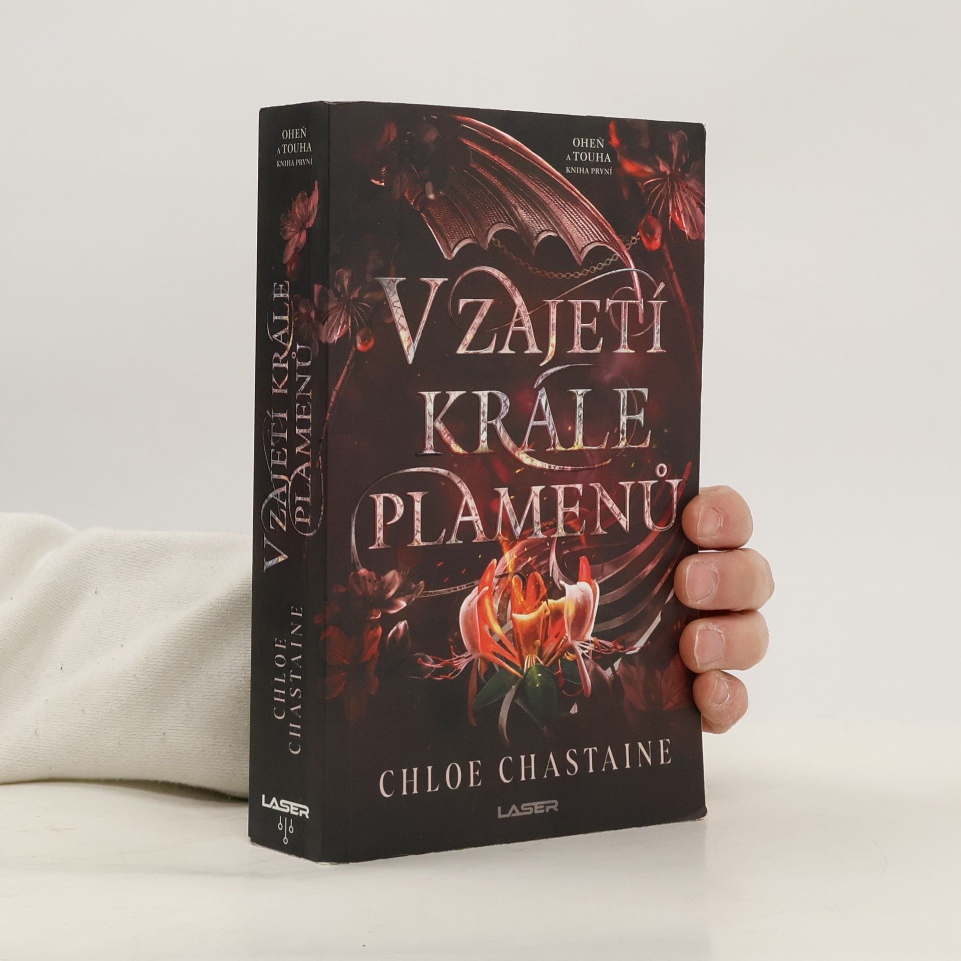 V zajetí krále plamenů