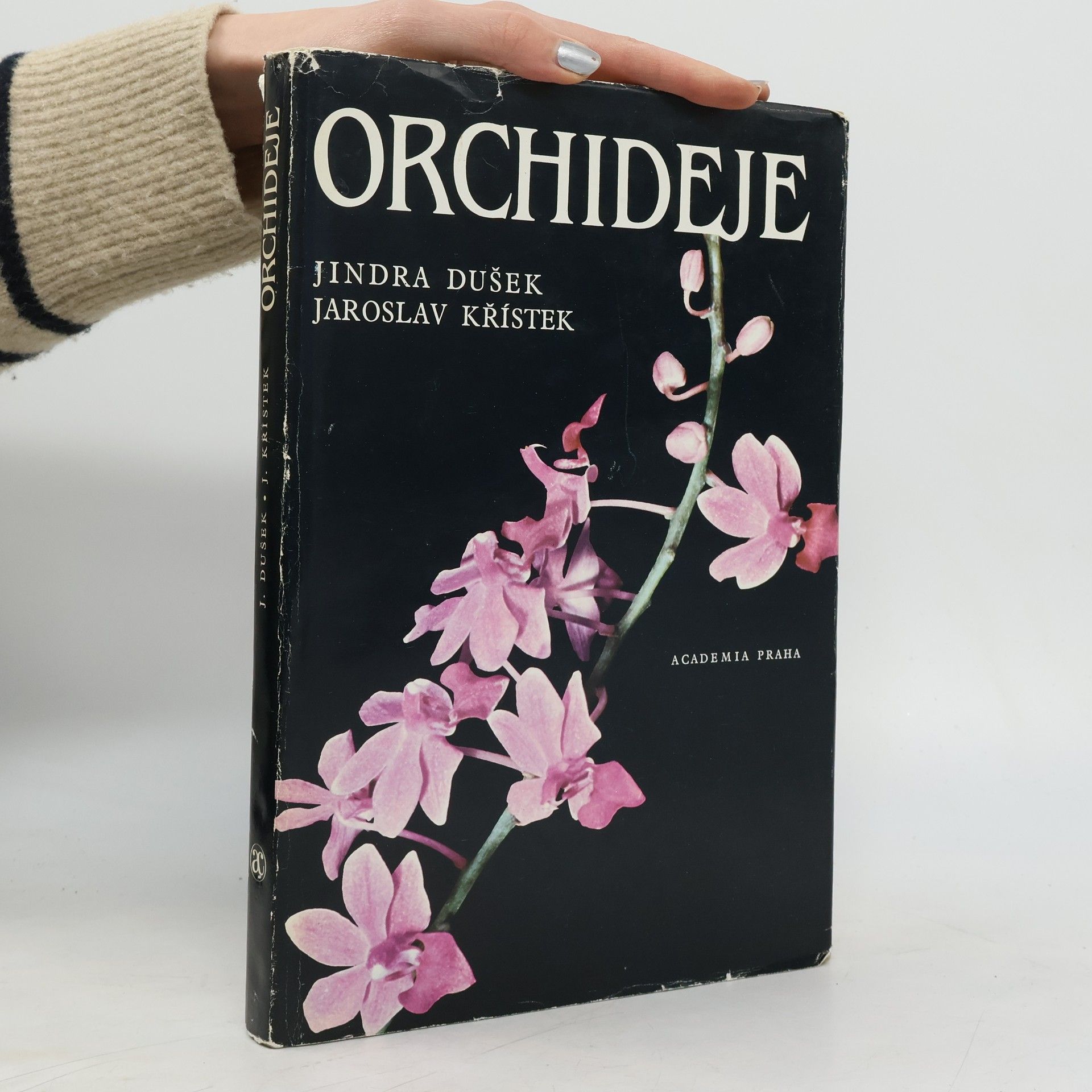 Orchideje