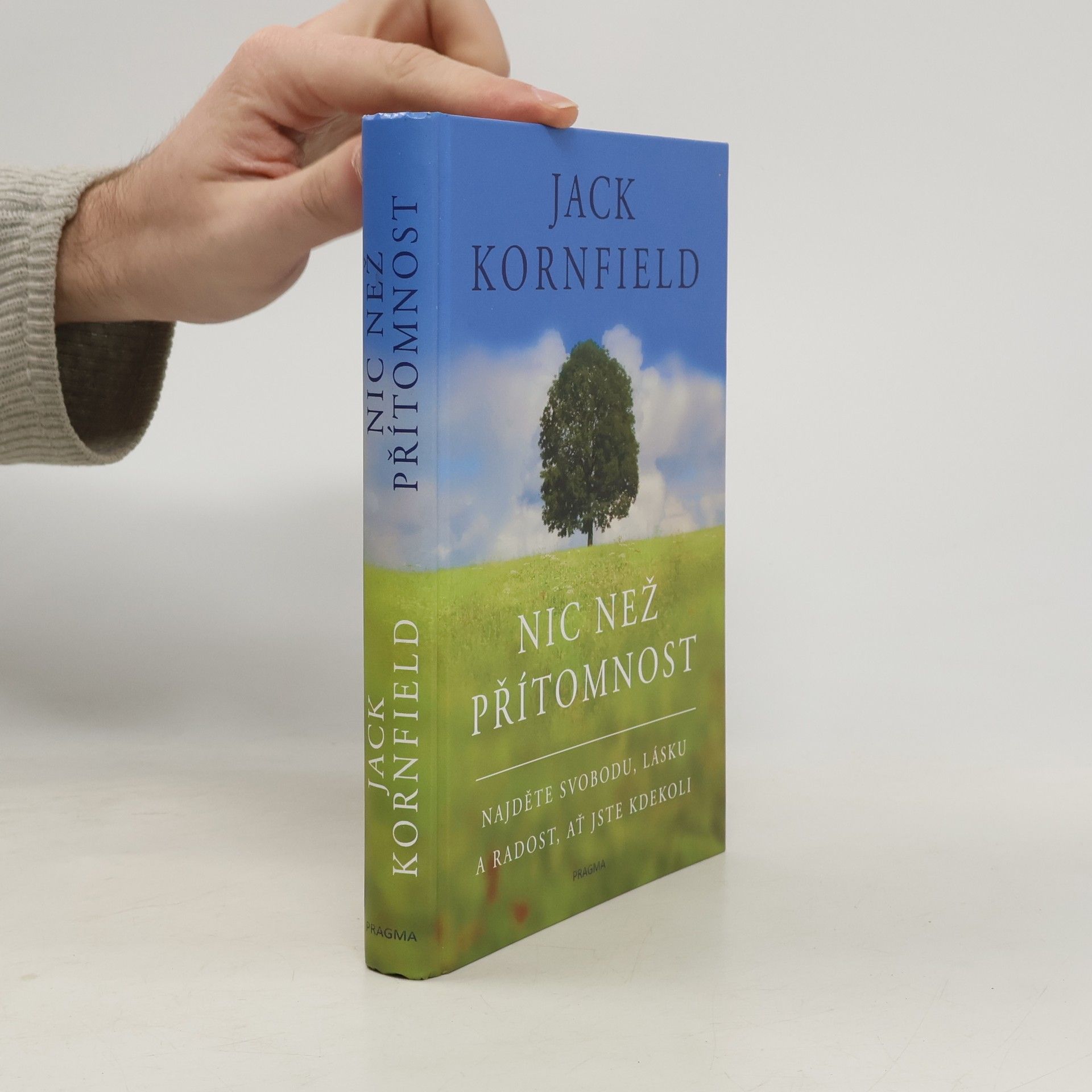 Nic než přítomnost