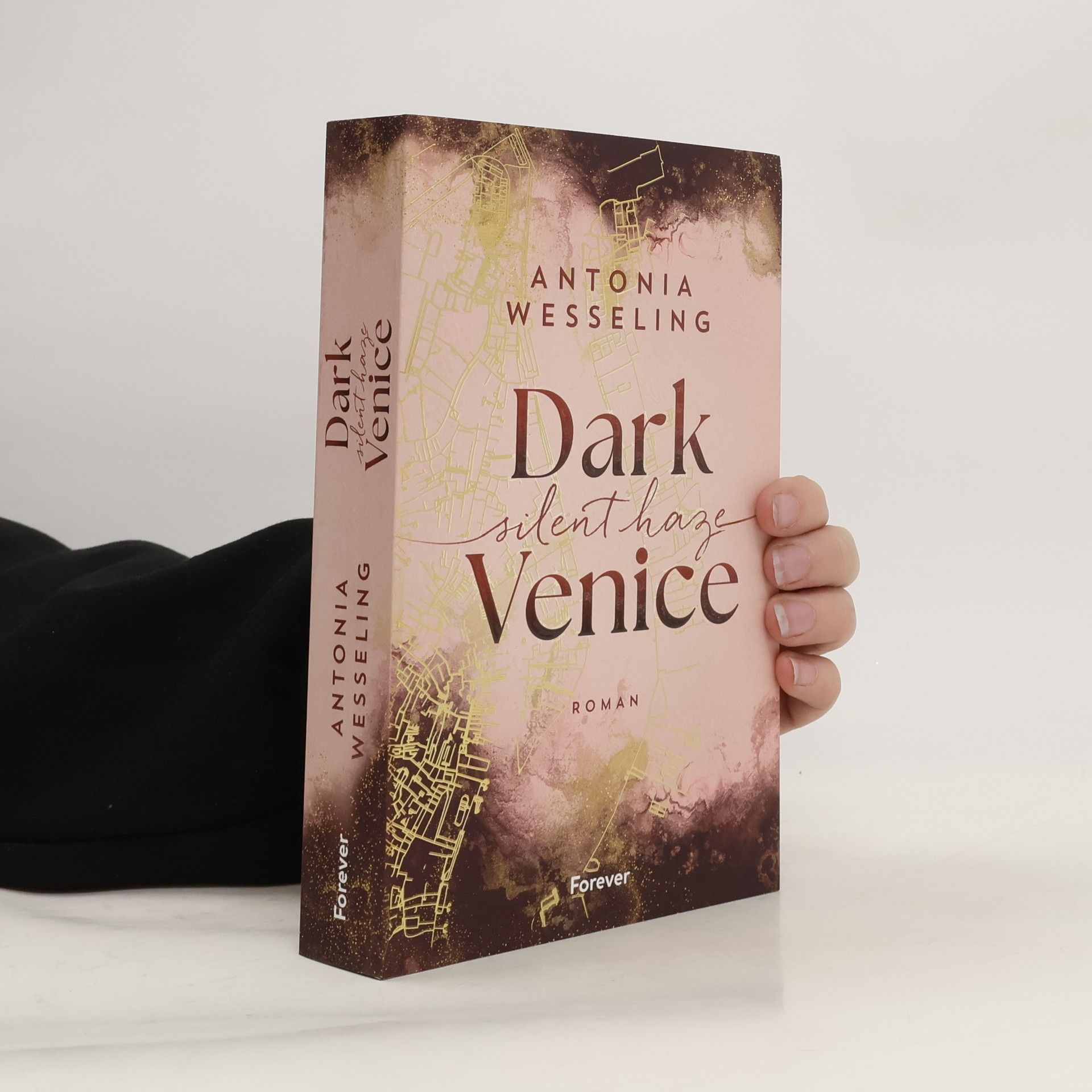 Dark Venice. Silent Haze