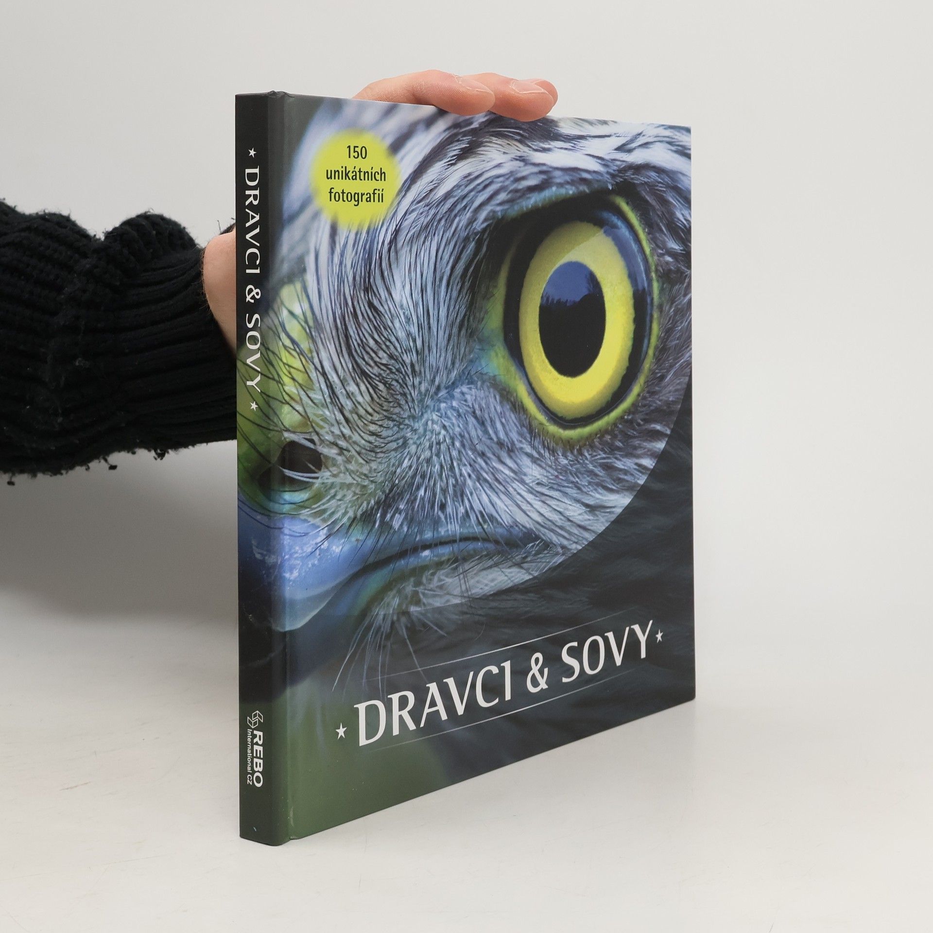 Dravci & Sovy