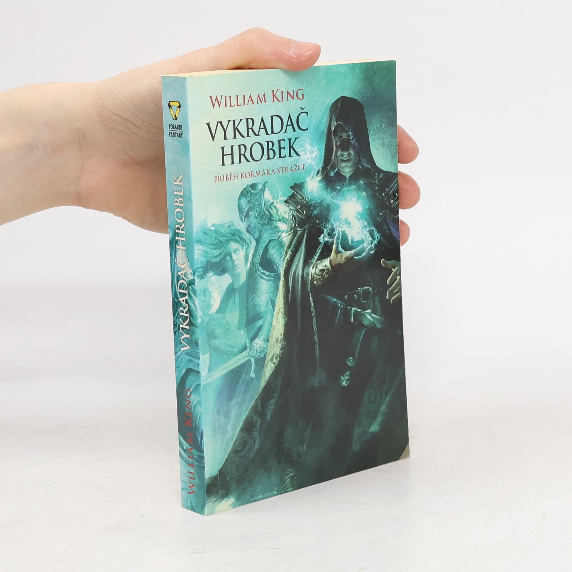 William King Vykradač hrobek