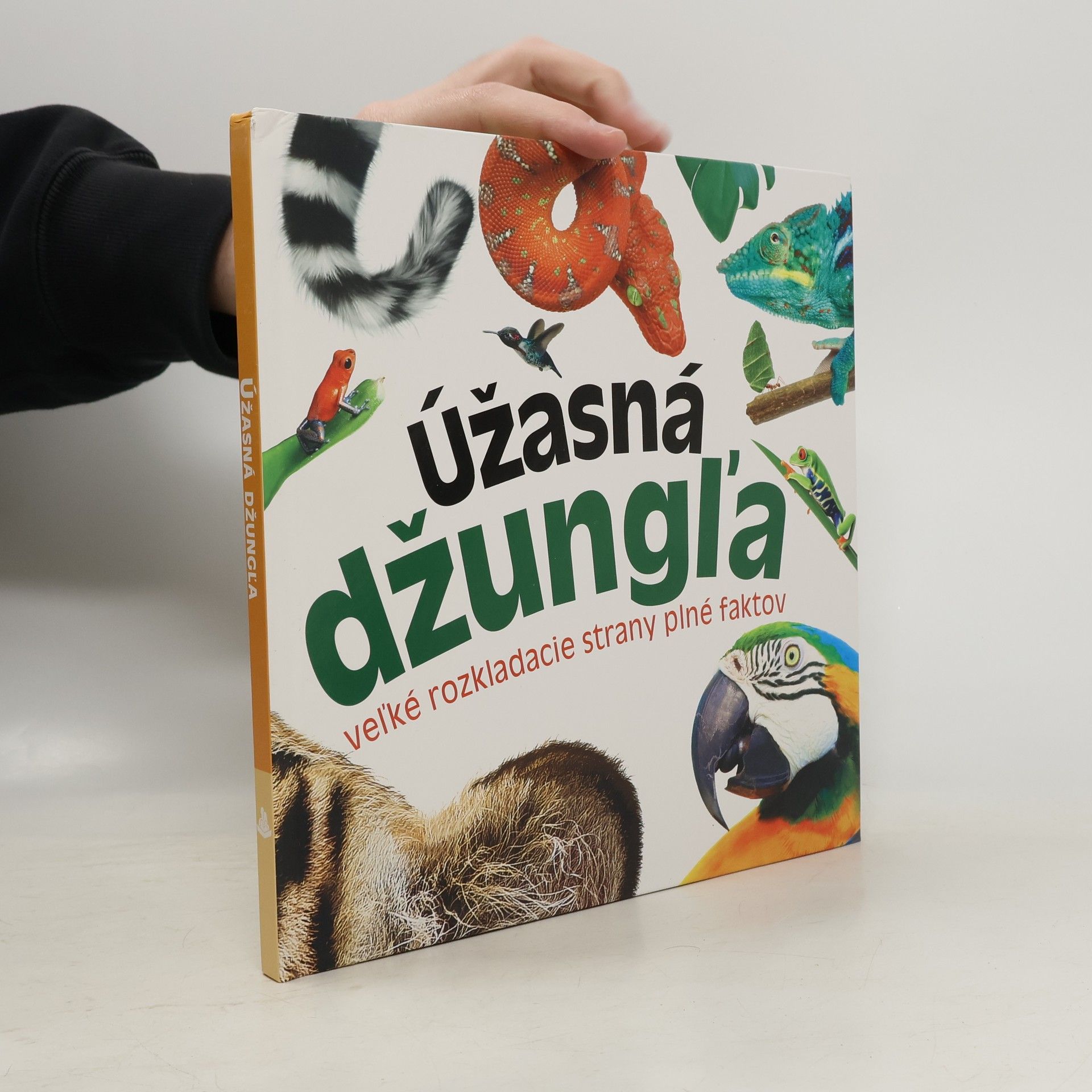 Kolektív autorov Úžasná džungľa : veľké rozkladacie strany plné faktov