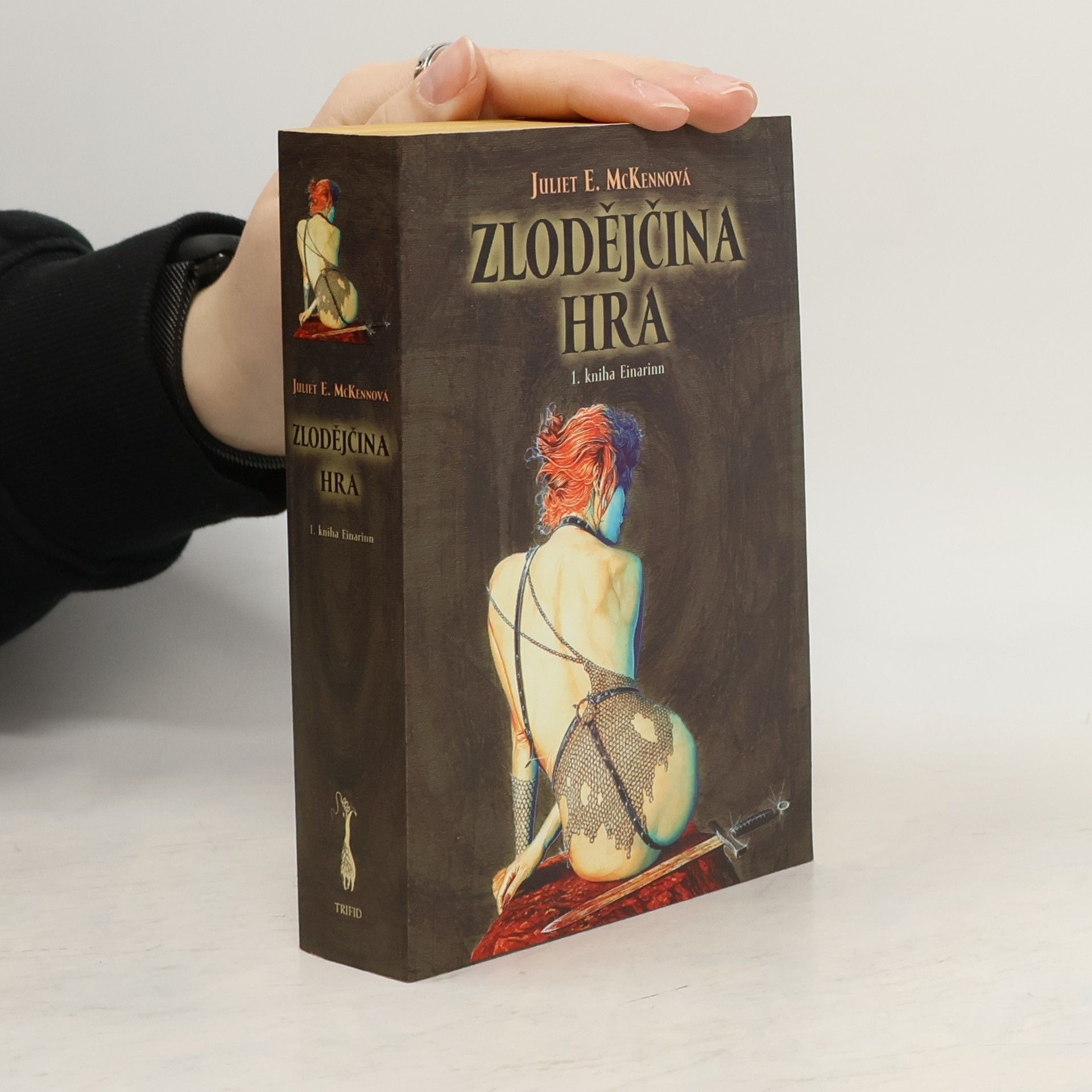 Juliet E. McKenna Zlodějčina hra