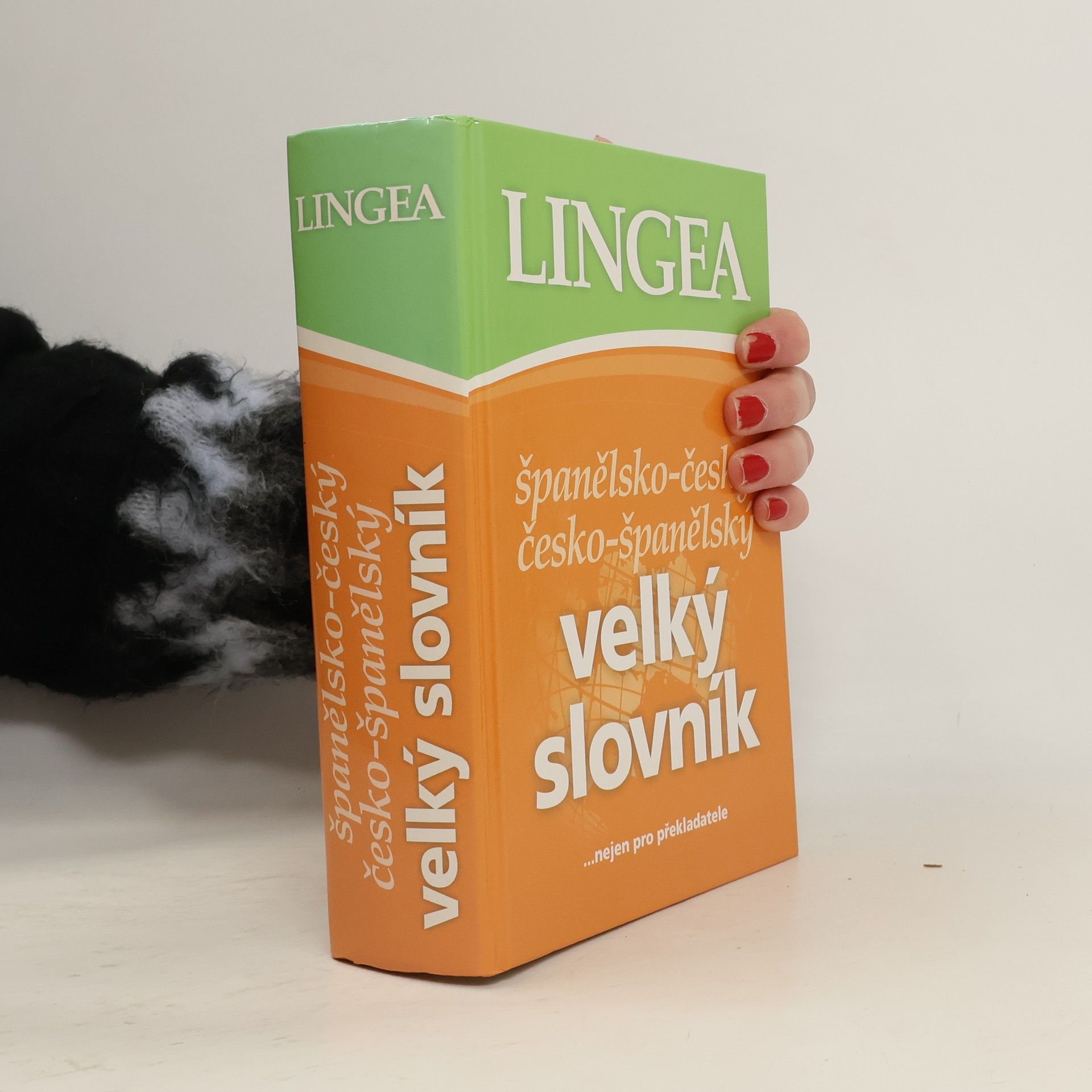 Kolektív autorov Španělsko-český, česko-španělský velký slovník