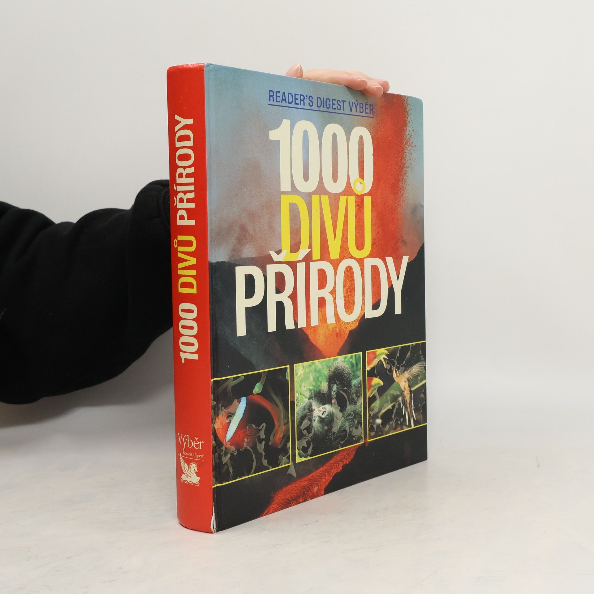 Autorenkollektiv 1000 divů přírody