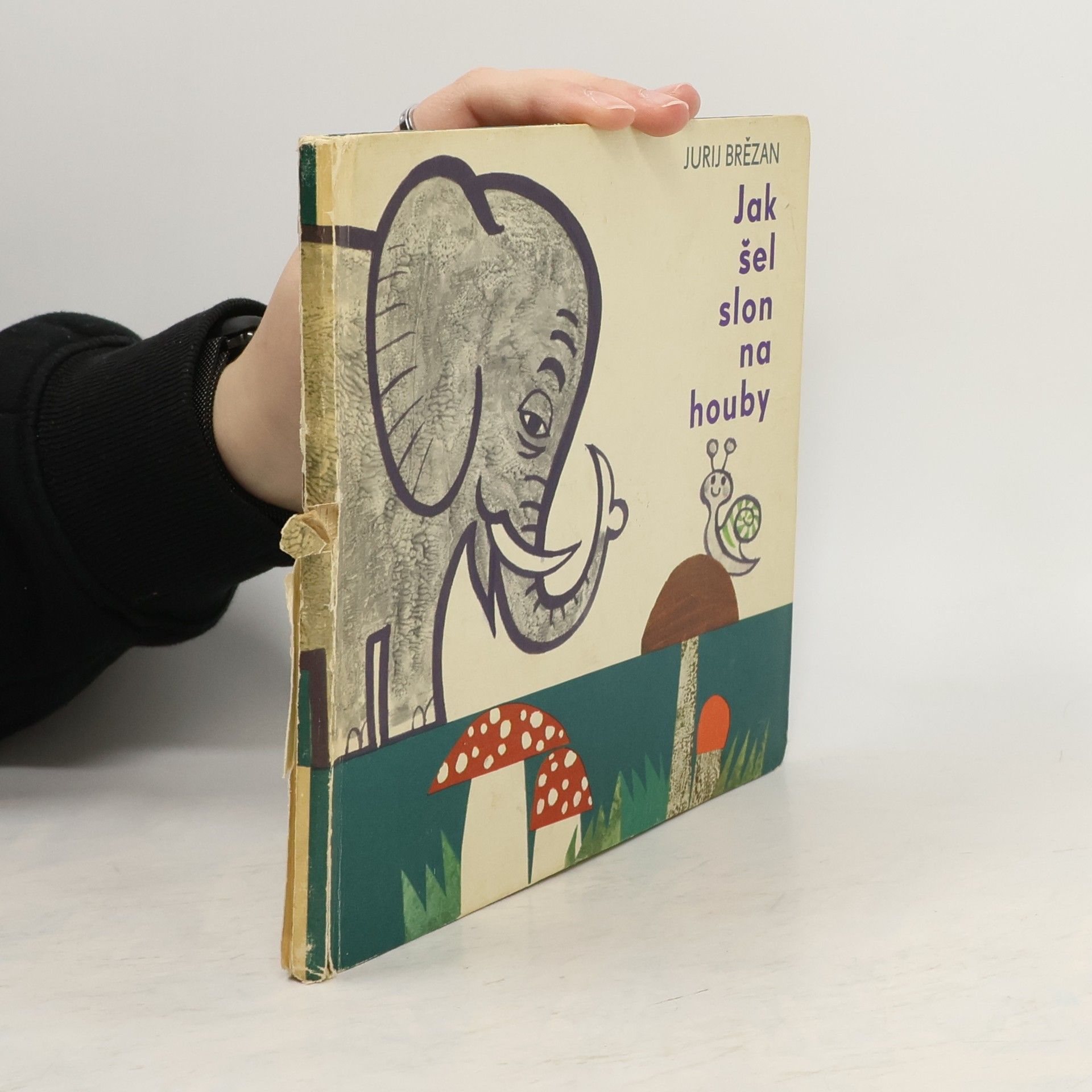 Jak šel slon na houby