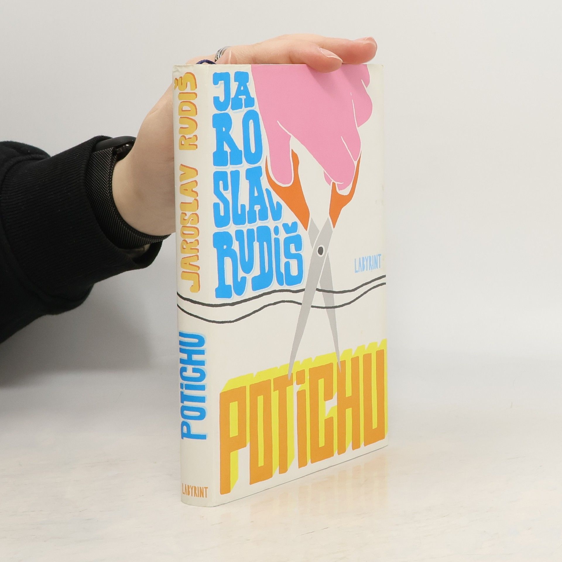 Jaroslav Rudiš Potichu