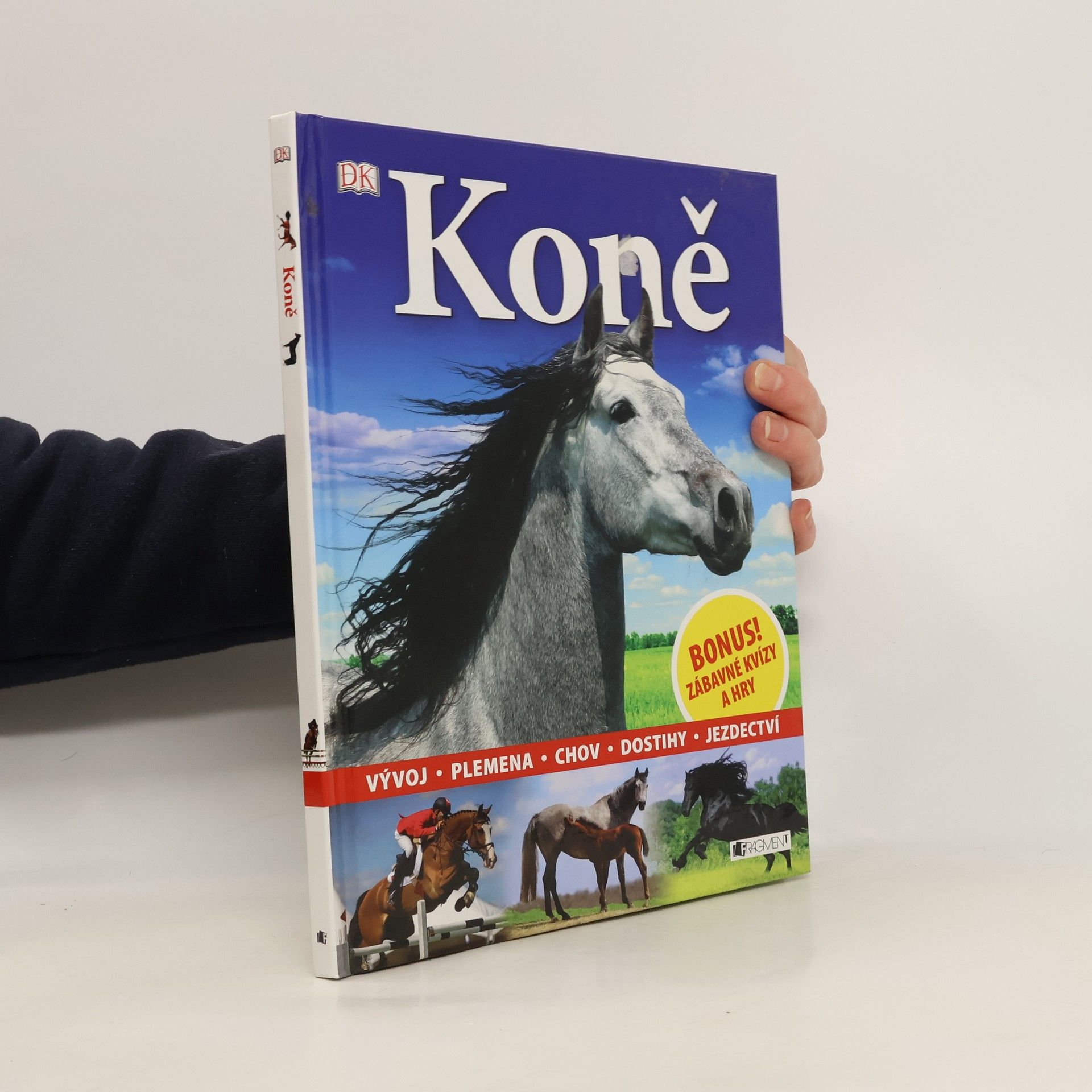 Dagmar Brejlová Koně