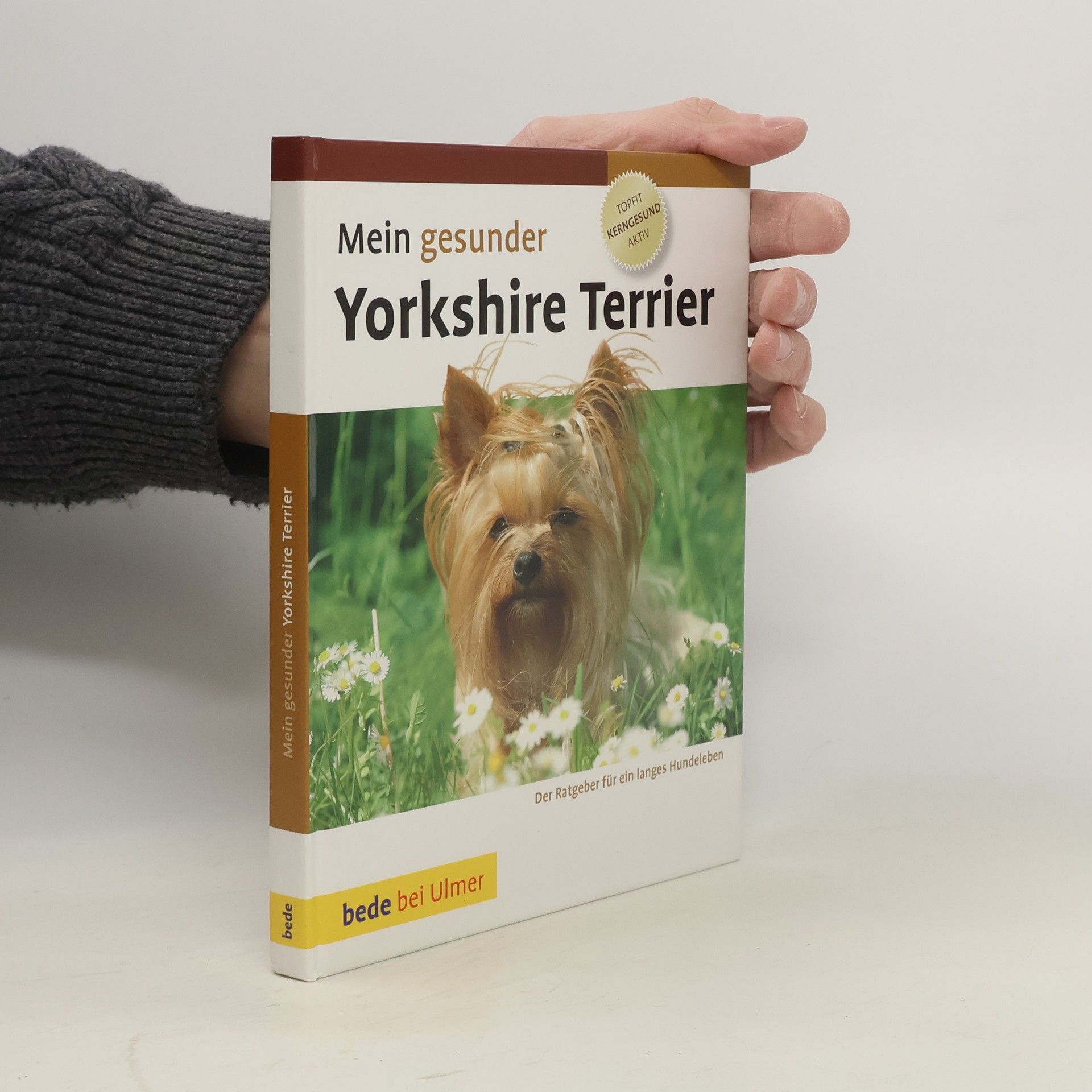 Mein gesunder Yorkshire Terrier